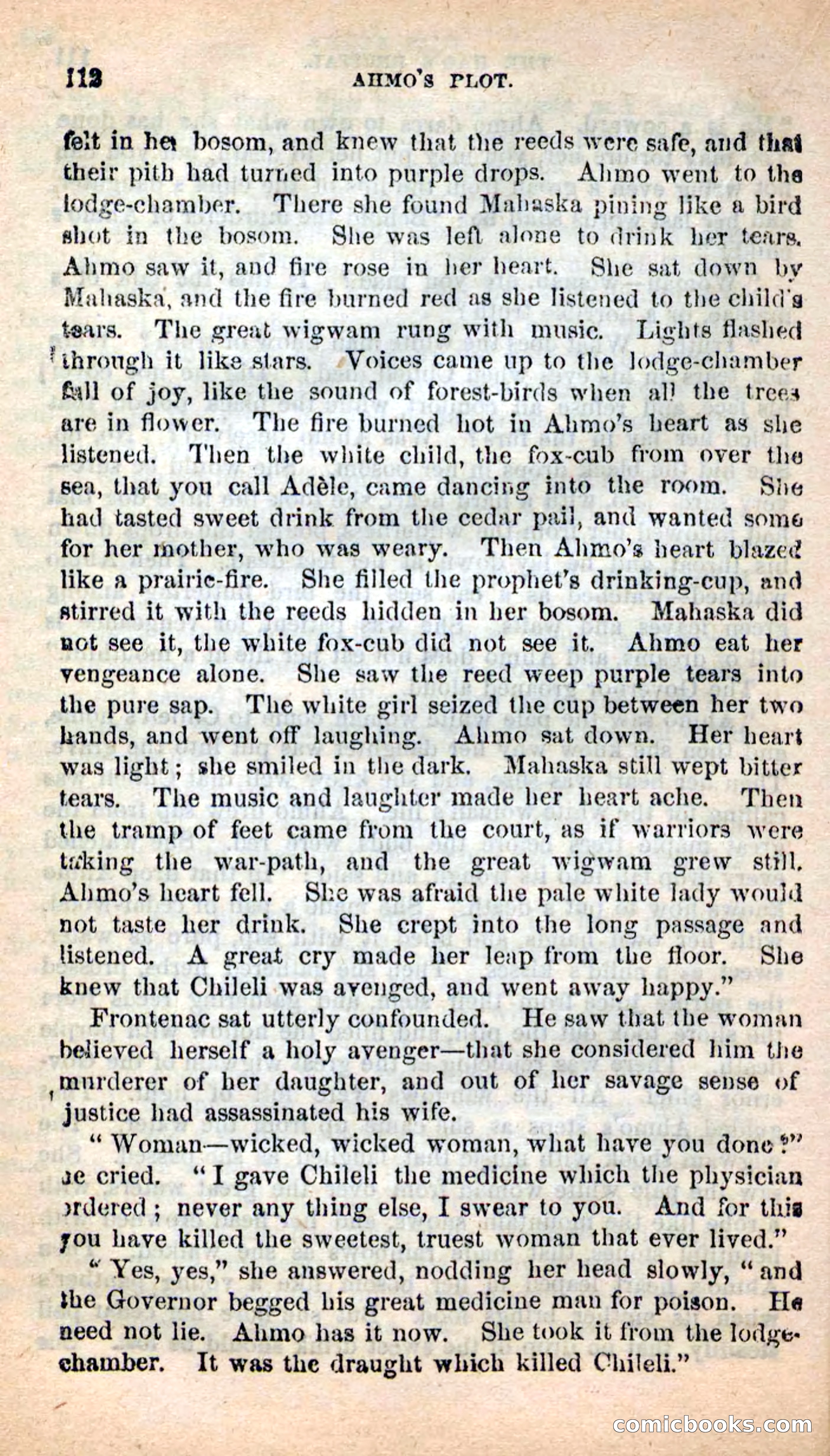 Beadle's New Dime Novels: Ahmo's Plot — page 113 of 133
