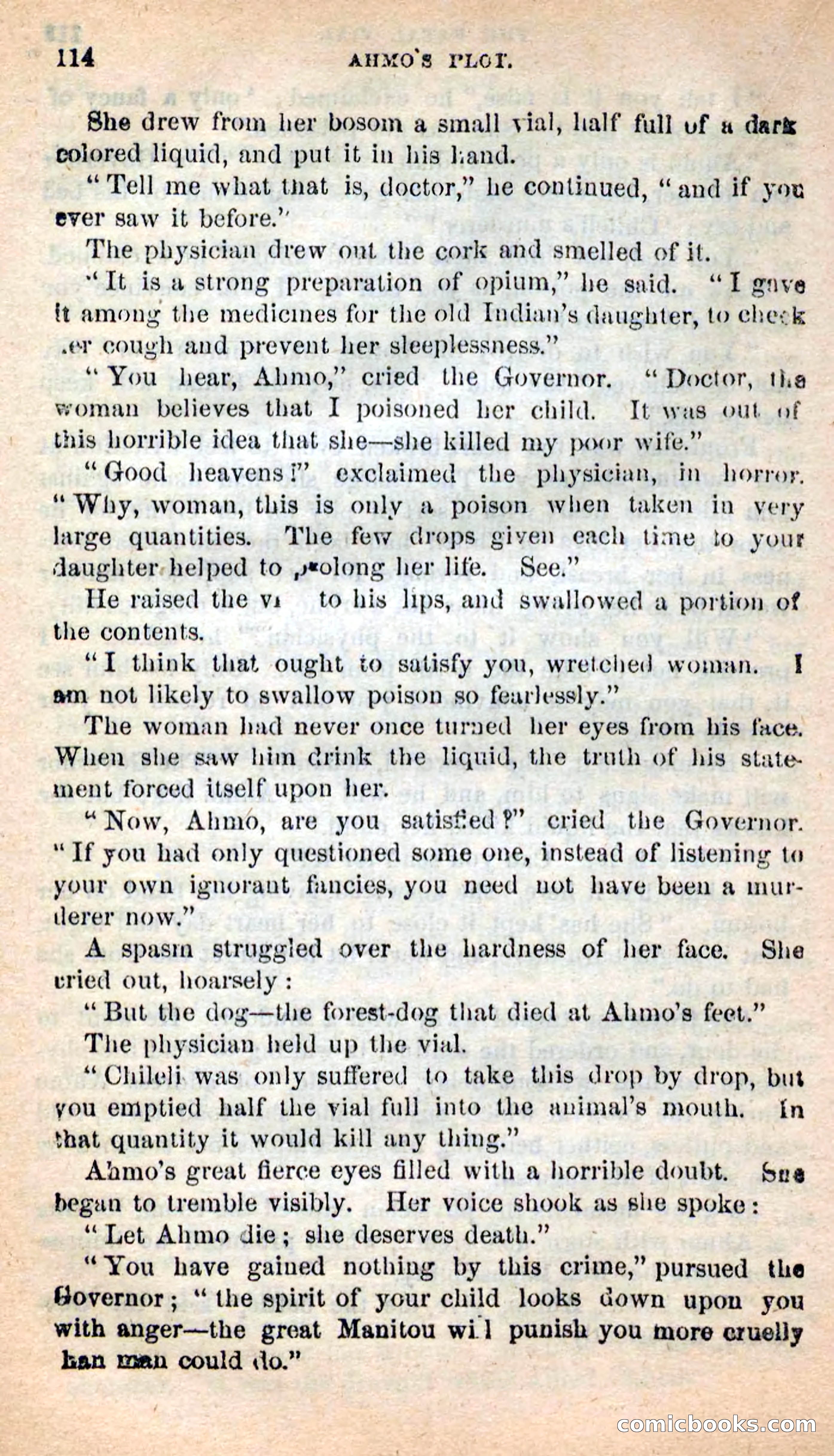 Beadle's New Dime Novels: Ahmo's Plot — page 115 of 133
