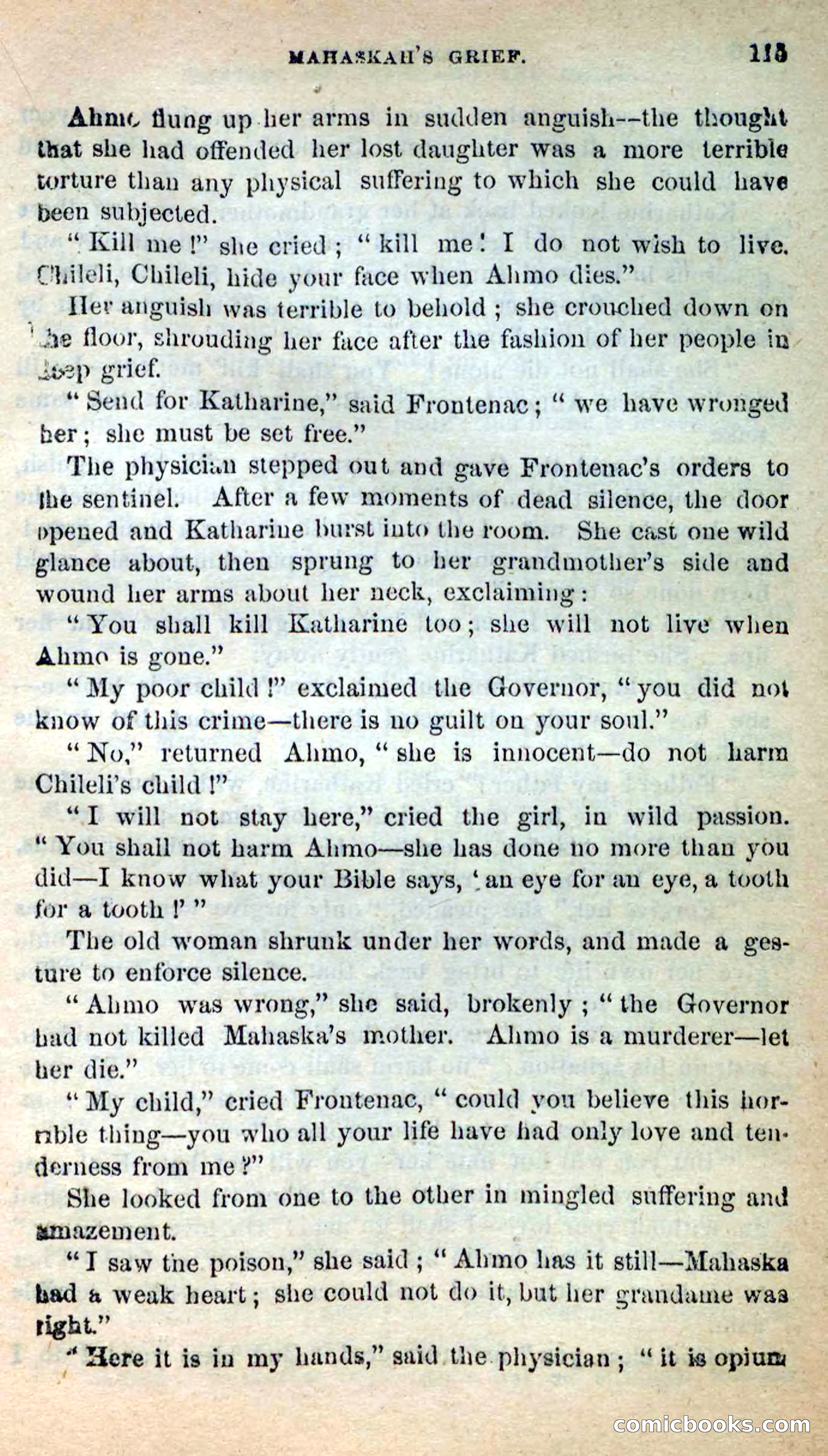 Beadle's New Dime Novels: Ahmo's Plot — page 116 of 133