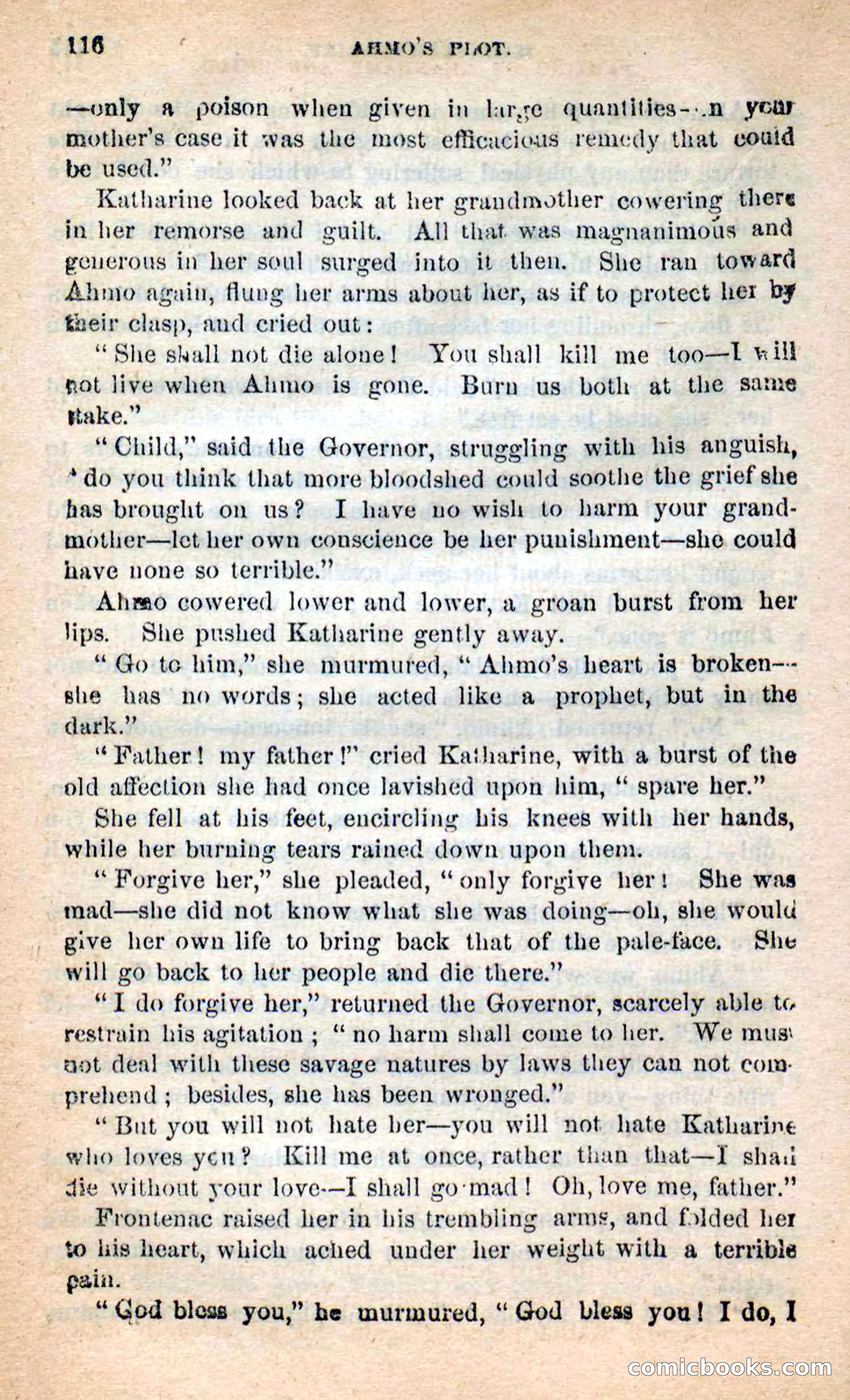 Beadle's New Dime Novels: Ahmo's Plot — page 117 of 133