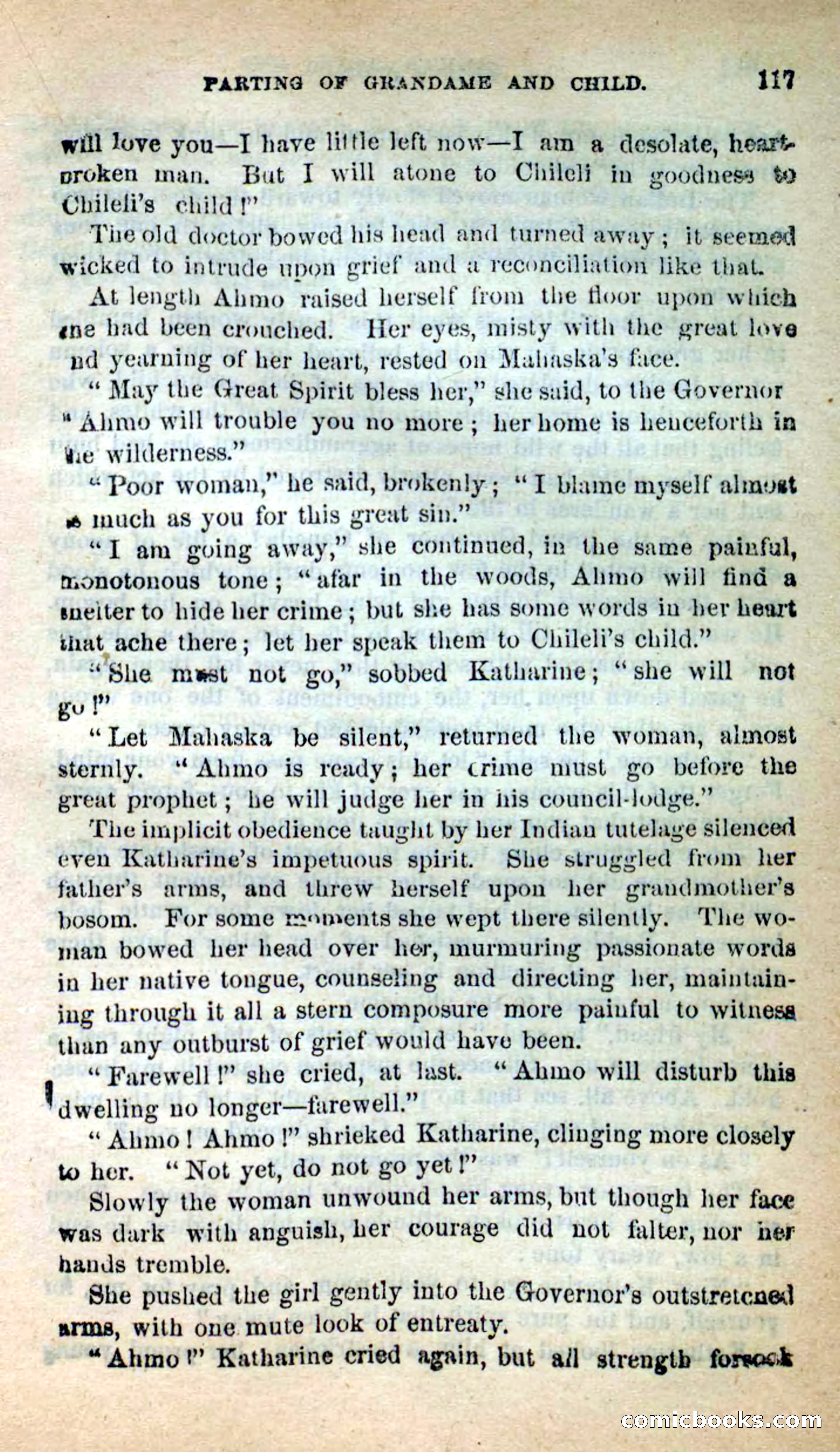 Beadle's New Dime Novels: Ahmo's Plot — page 118 of 133