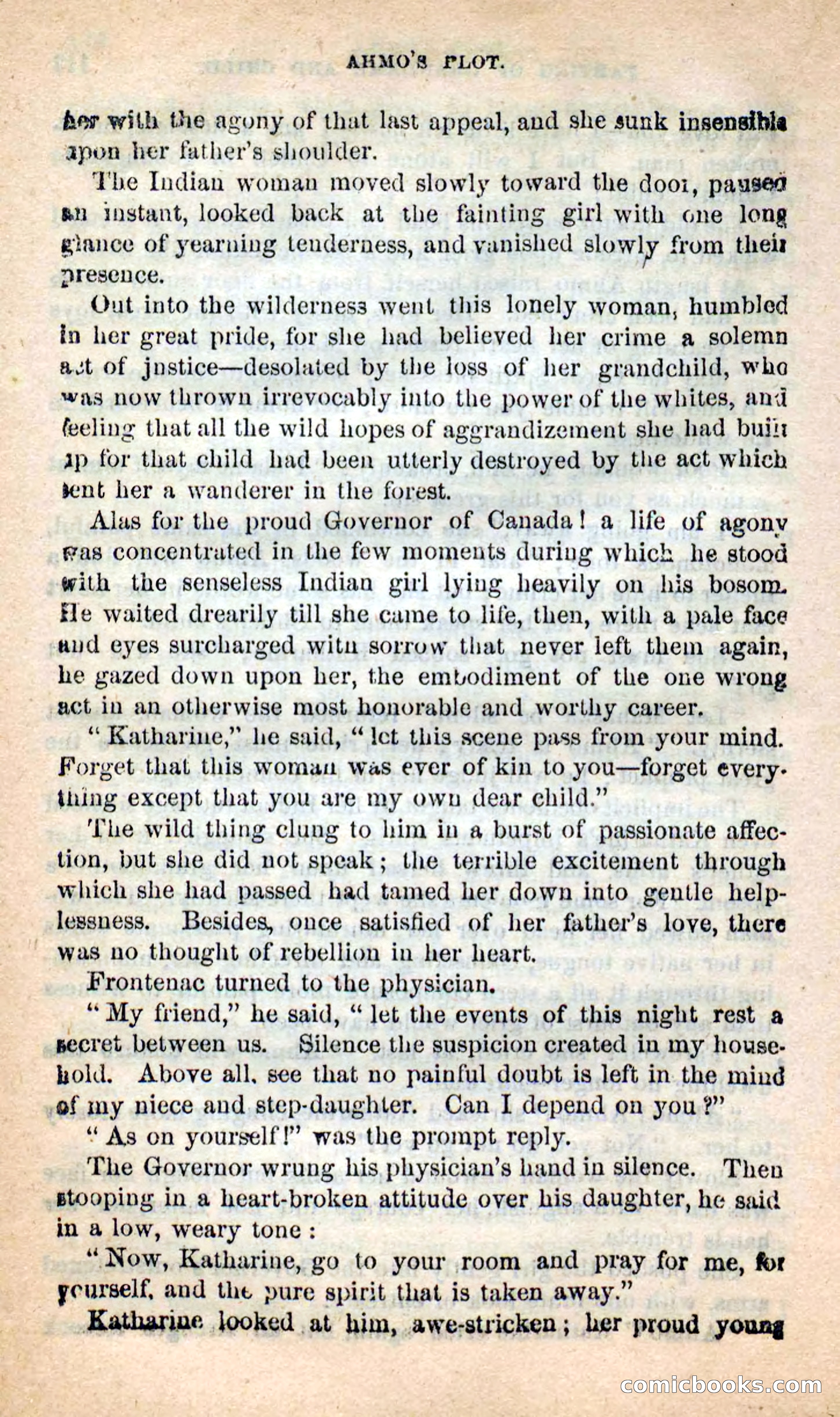 Beadle's New Dime Novels: Ahmo's Plot — page 119 of 133