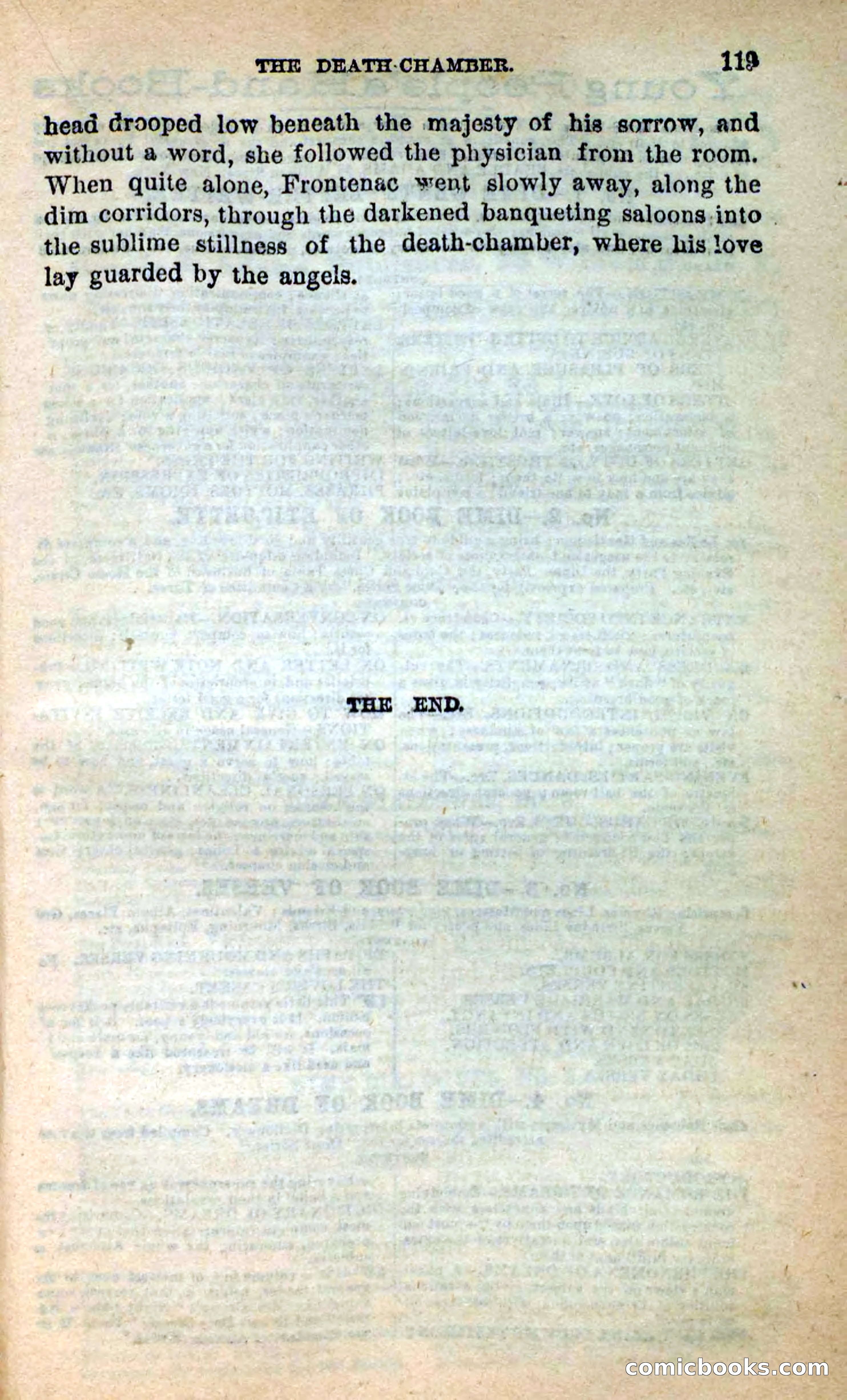 Beadle's New Dime Novels: Ahmo's Plot — page 120 of 133
