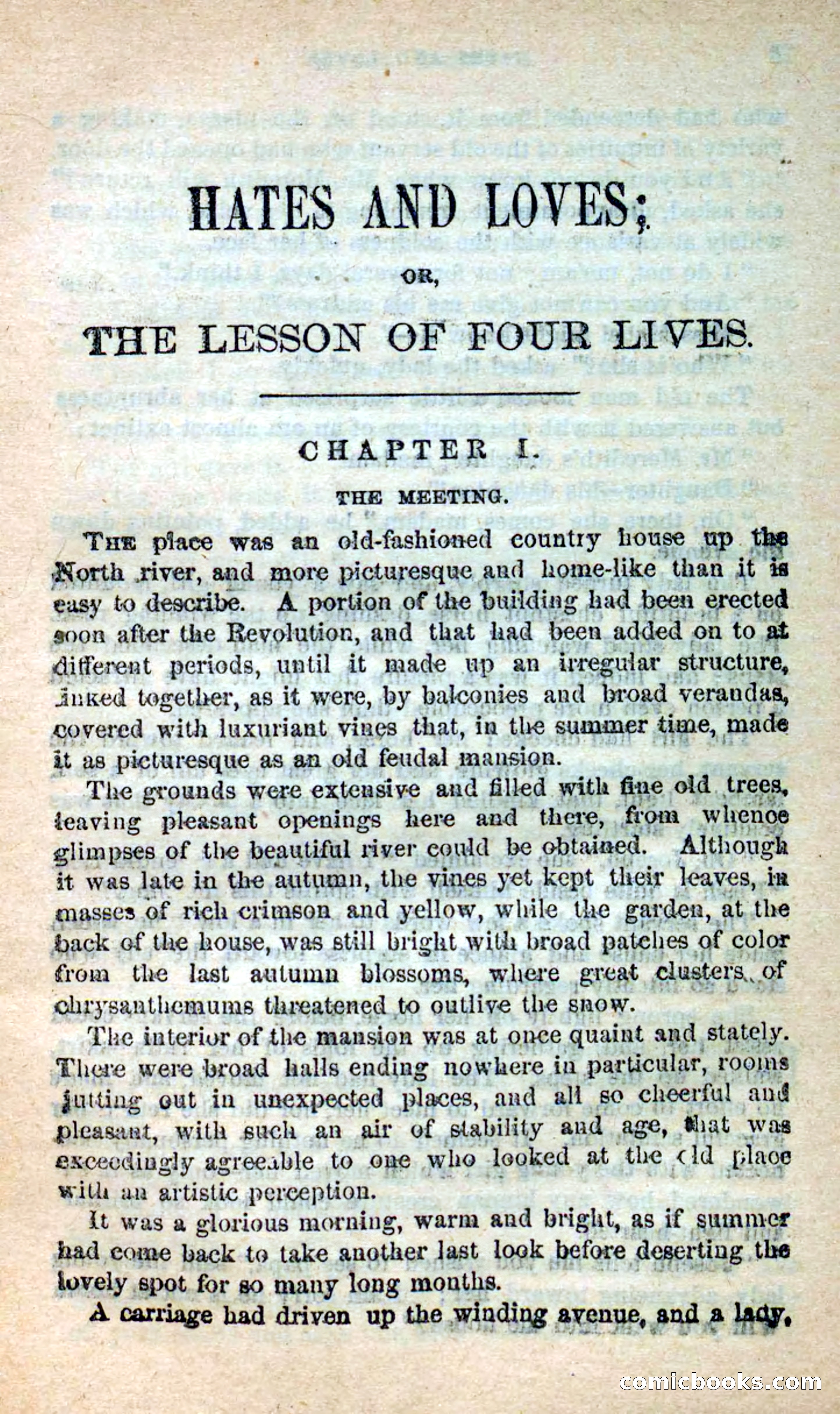 Beadle's New Dime Novels: Hates and Loves — page 5 of 116