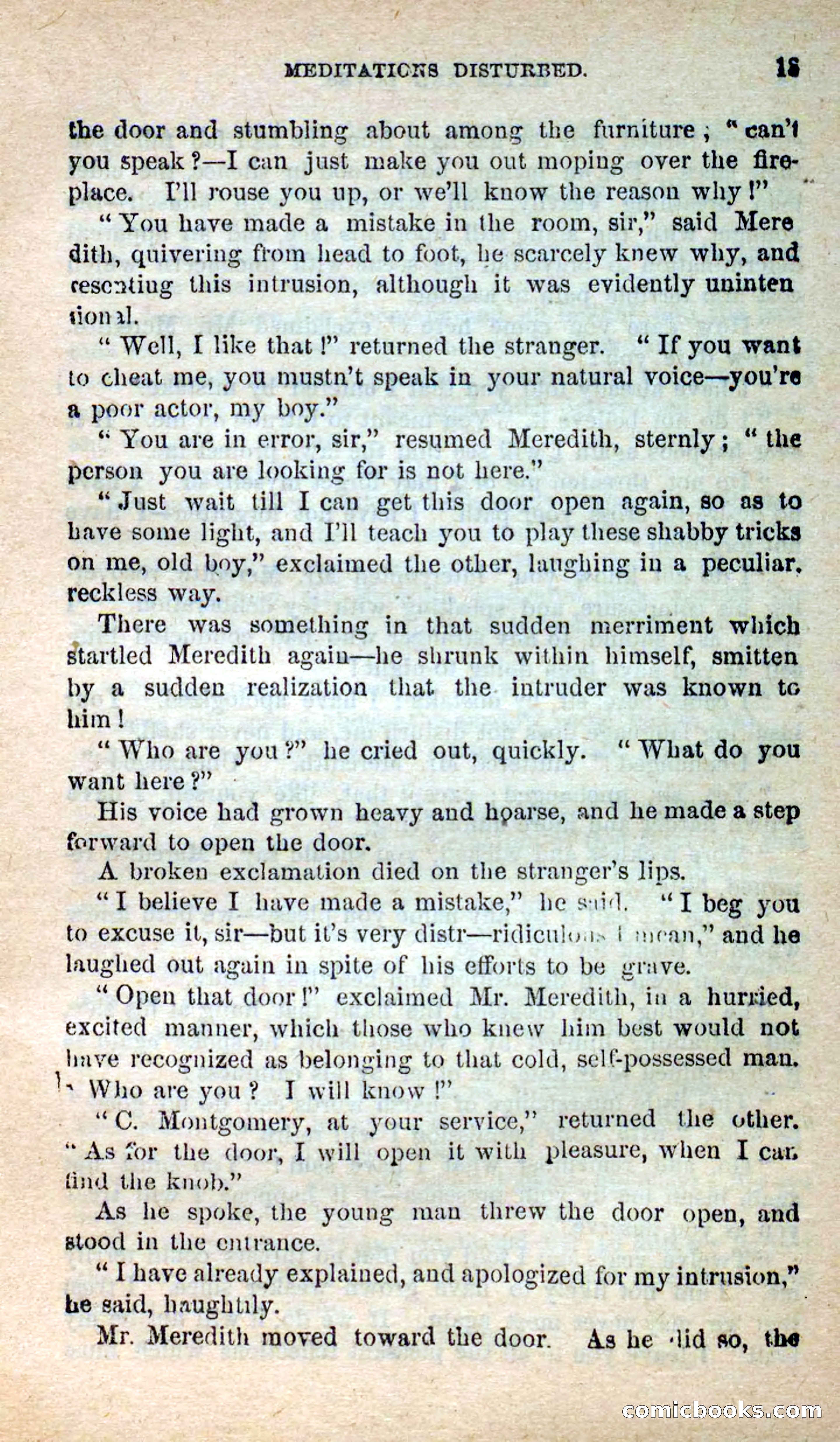 Beadle's New Dime Novels: Hates and Loves — page 13 of 116