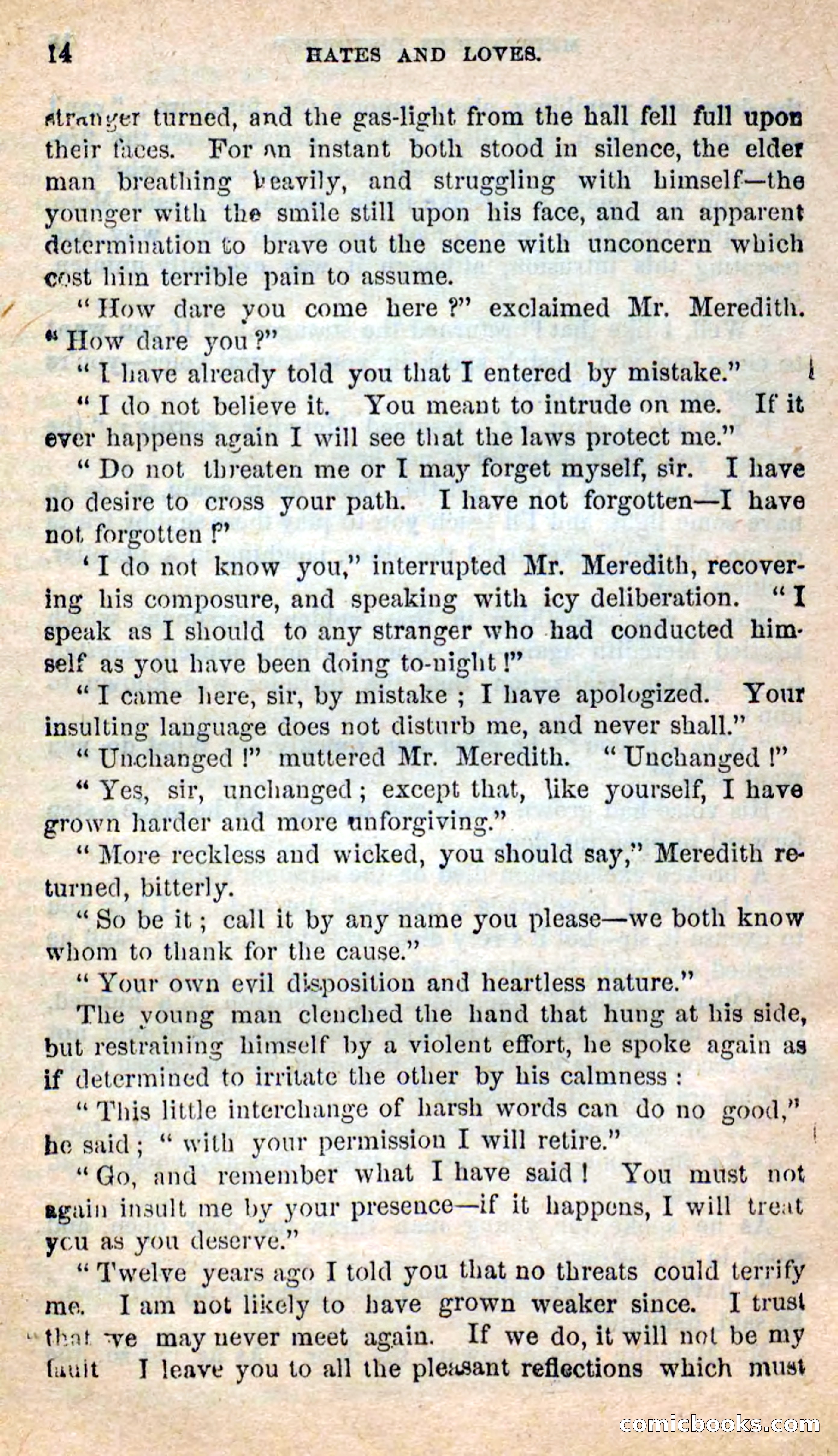 Beadle's New Dime Novels: Hates and Loves — page 14 of 116
