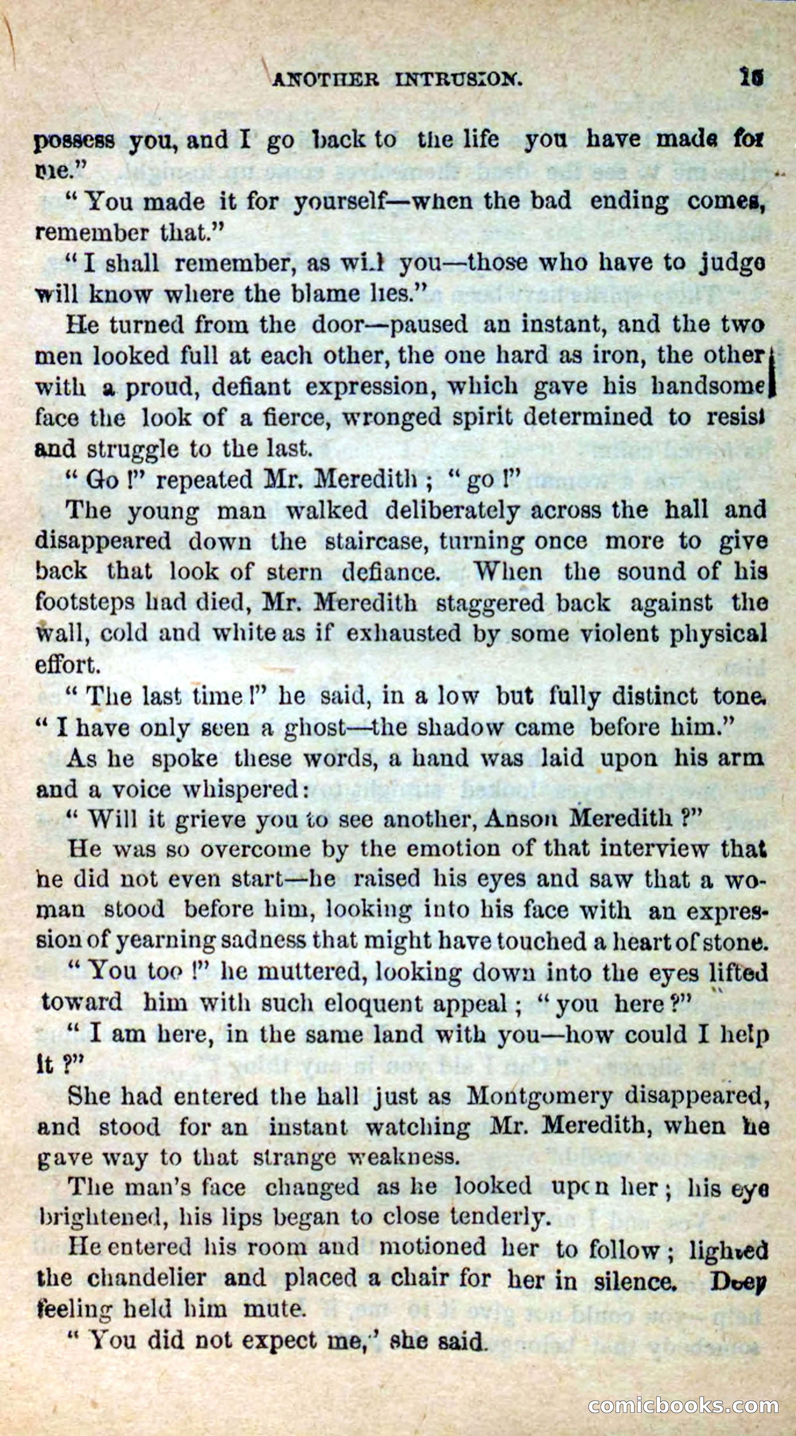 Beadle's New Dime Novels: Hates and Loves — page 15 of 116
