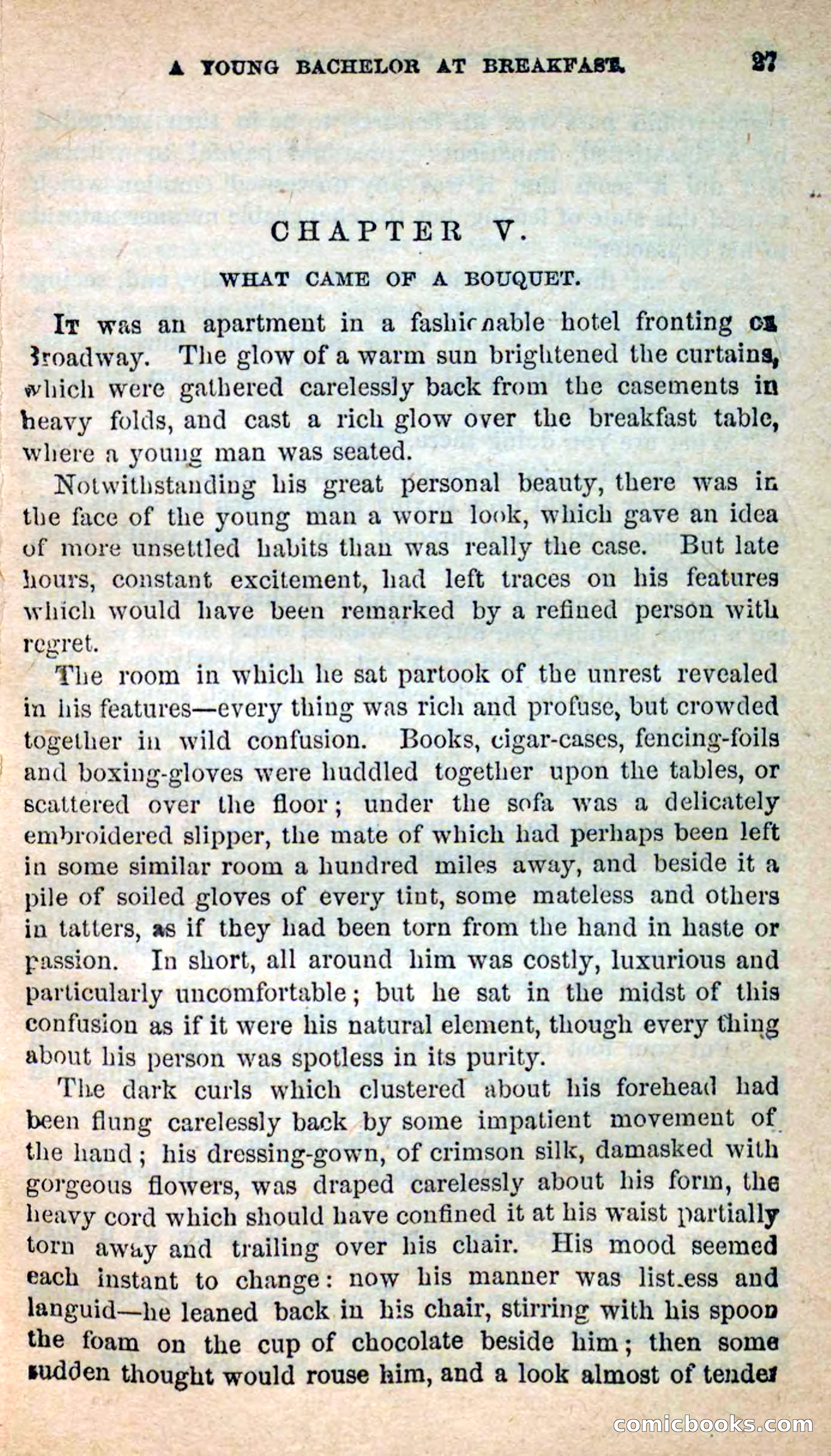 Beadle's New Dime Novels: Hates and Loves — page 27 of 116