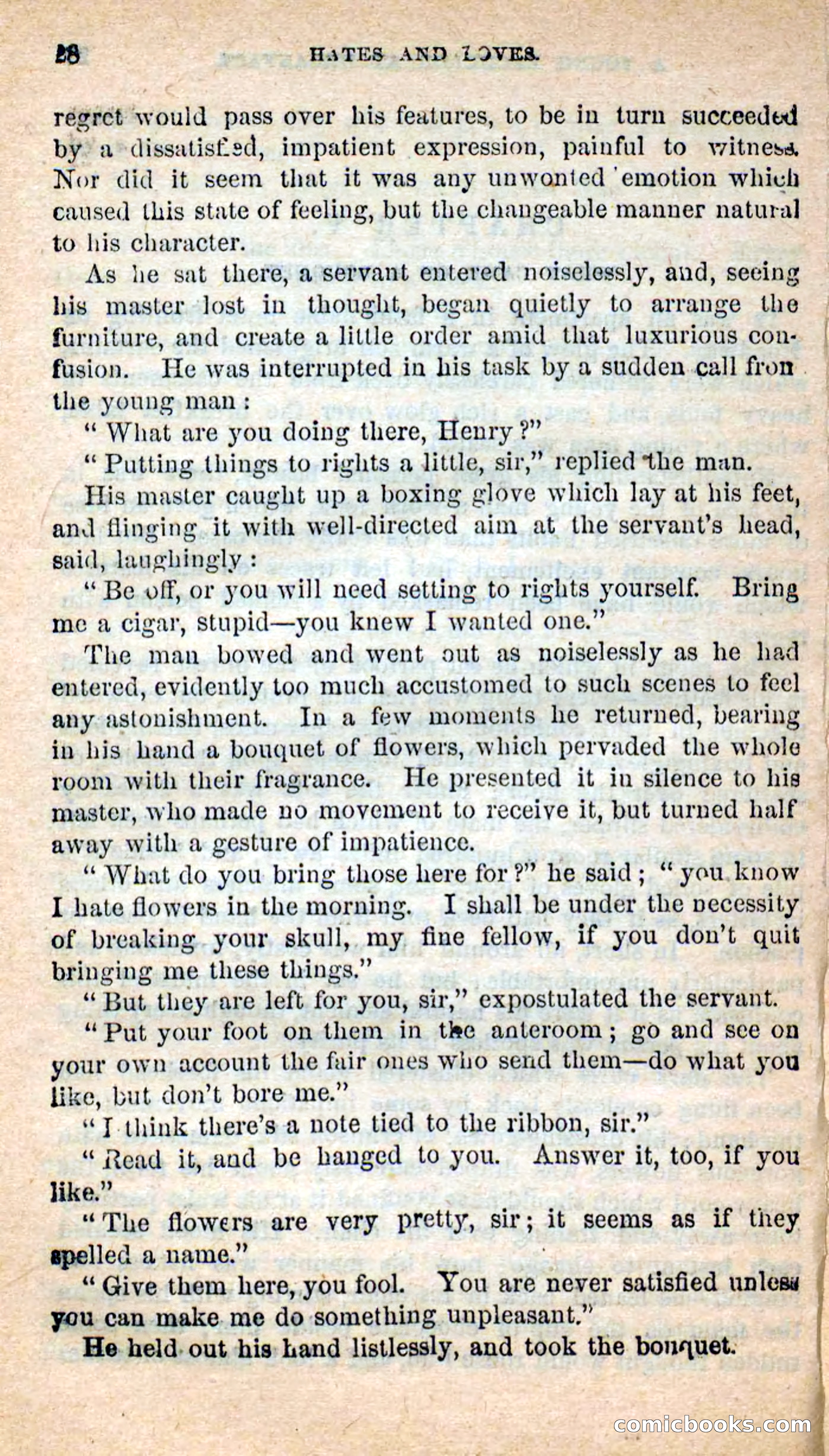 Beadle's New Dime Novels: Hates and Loves — page 28 of 116