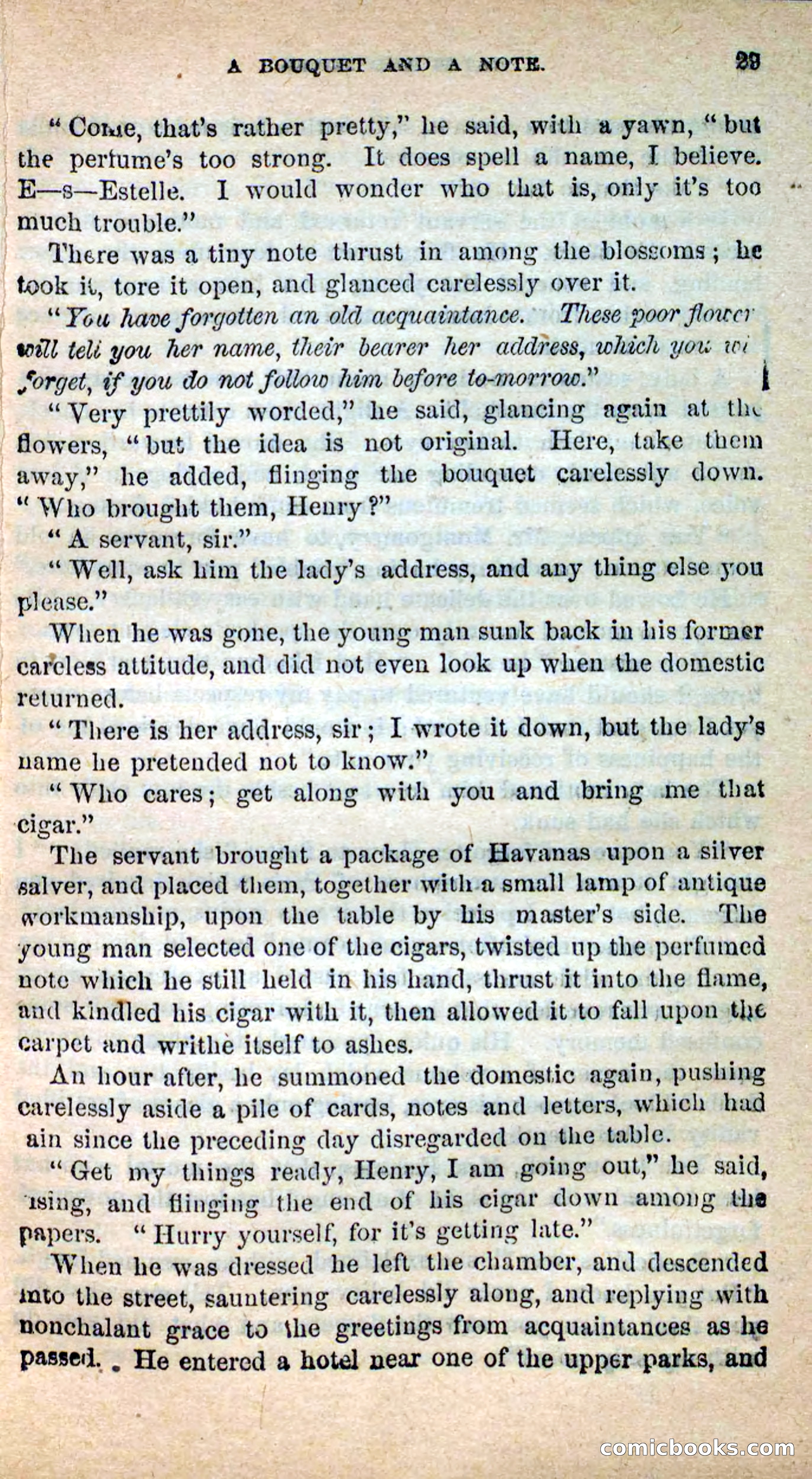 Beadle's New Dime Novels: Hates and Loves — page 29 of 116