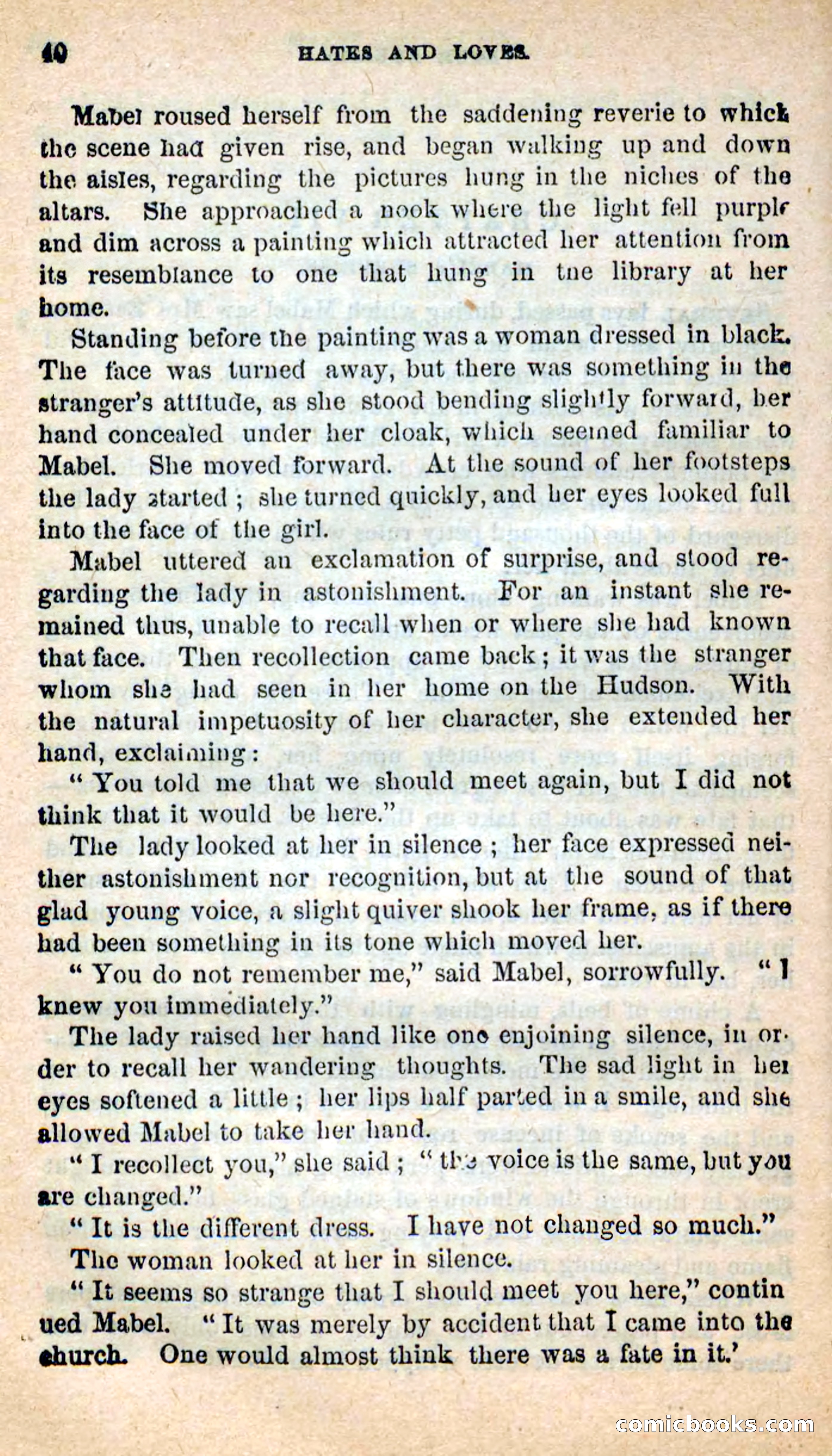 Beadle's New Dime Novels: Hates and Loves — page 40 of 116