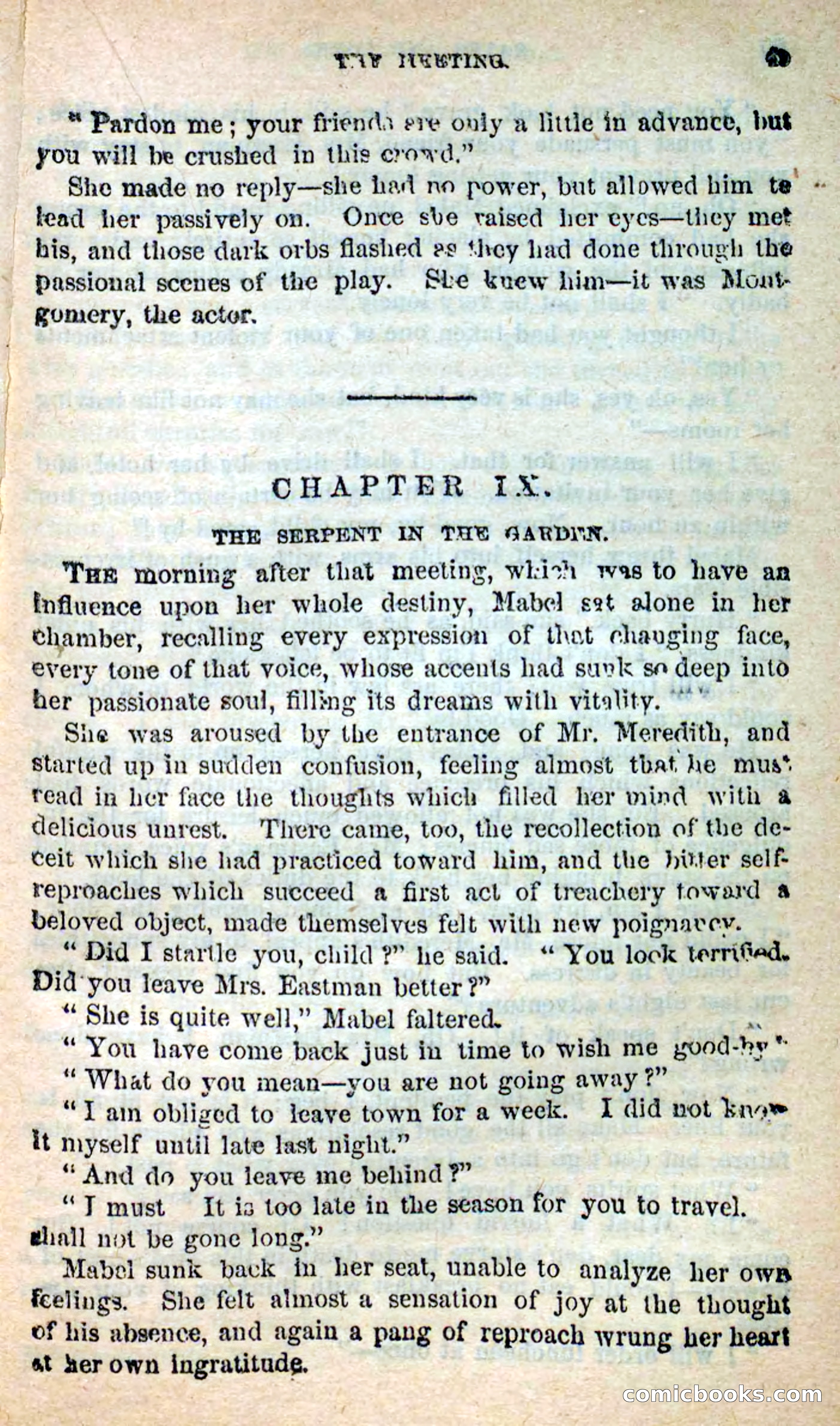 Beadle's New Dime Novels: Hates and Loves — page 49 of 116