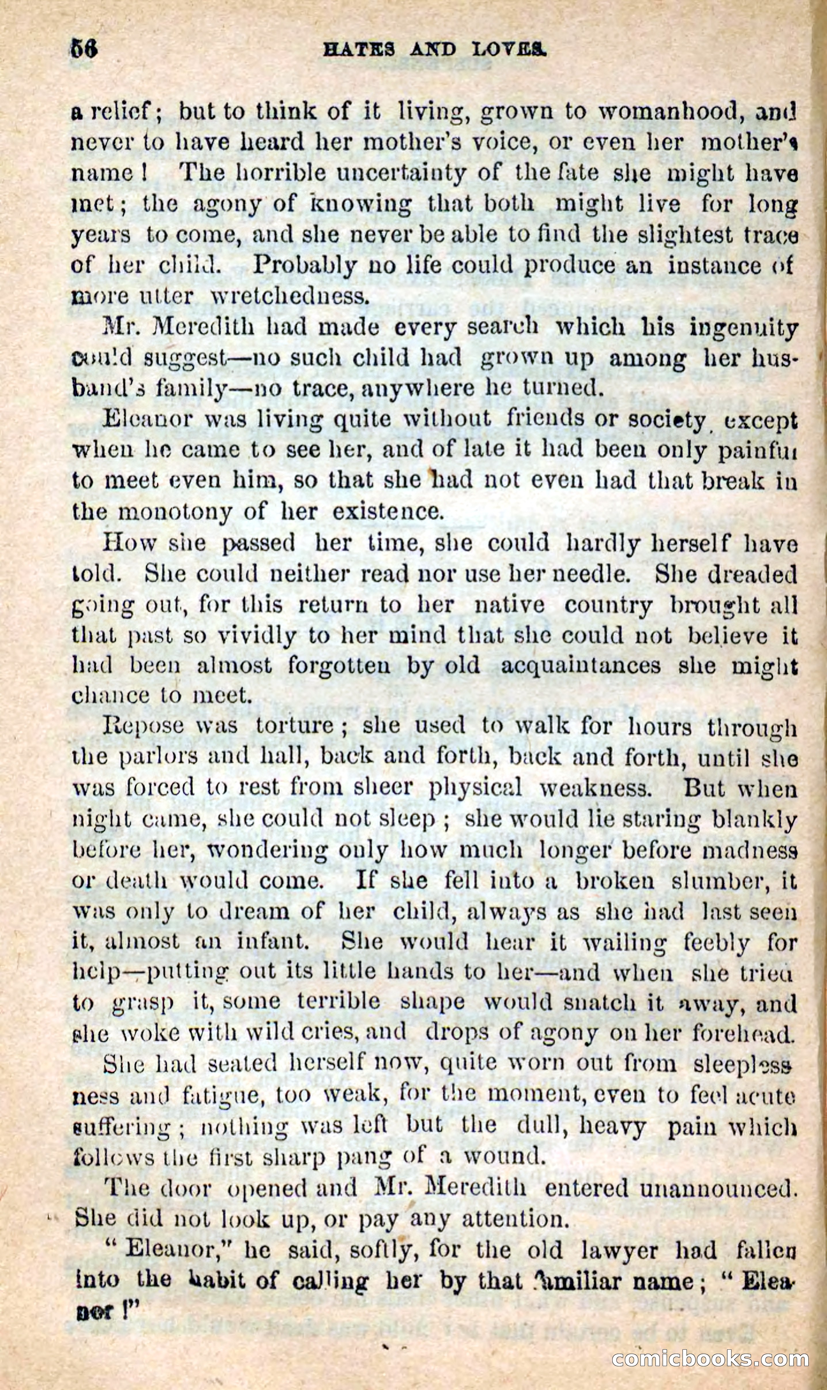 Beadle's New Dime Novels: Hates and Loves — page 56 of 116