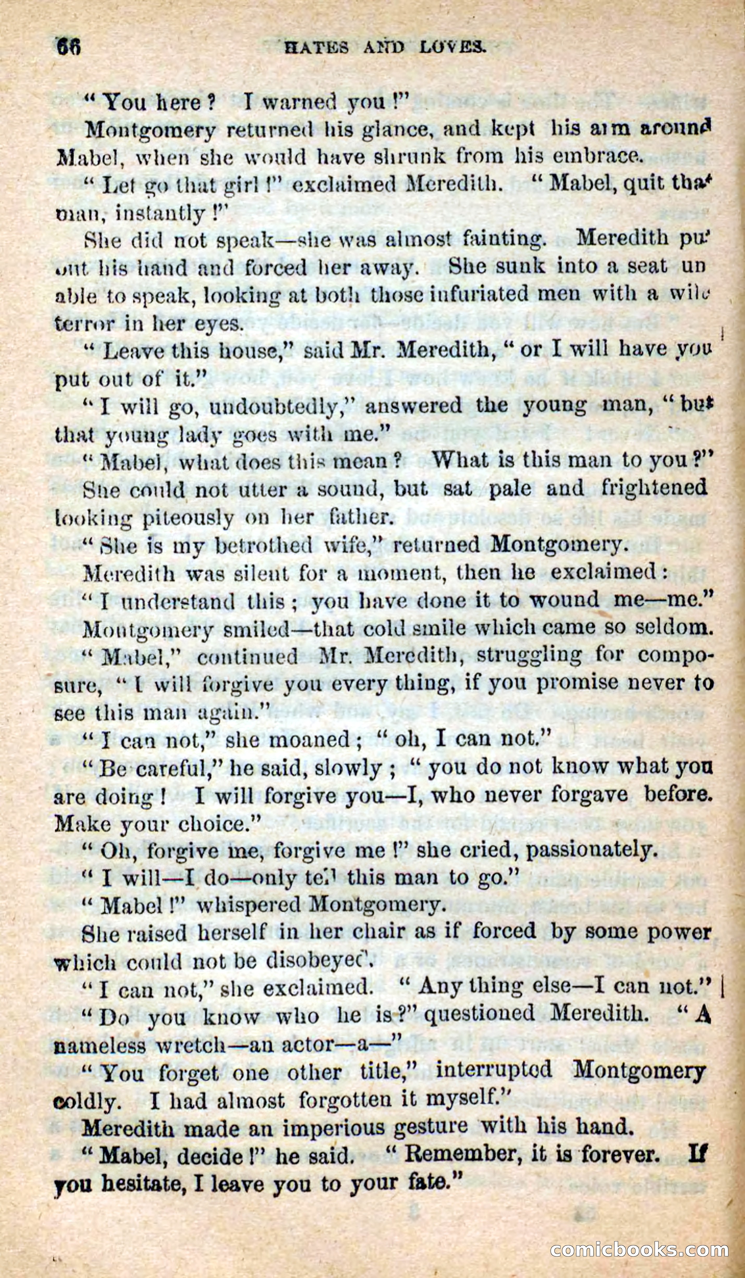 Beadle's New Dime Novels: Hates and Loves — page 66 of 116