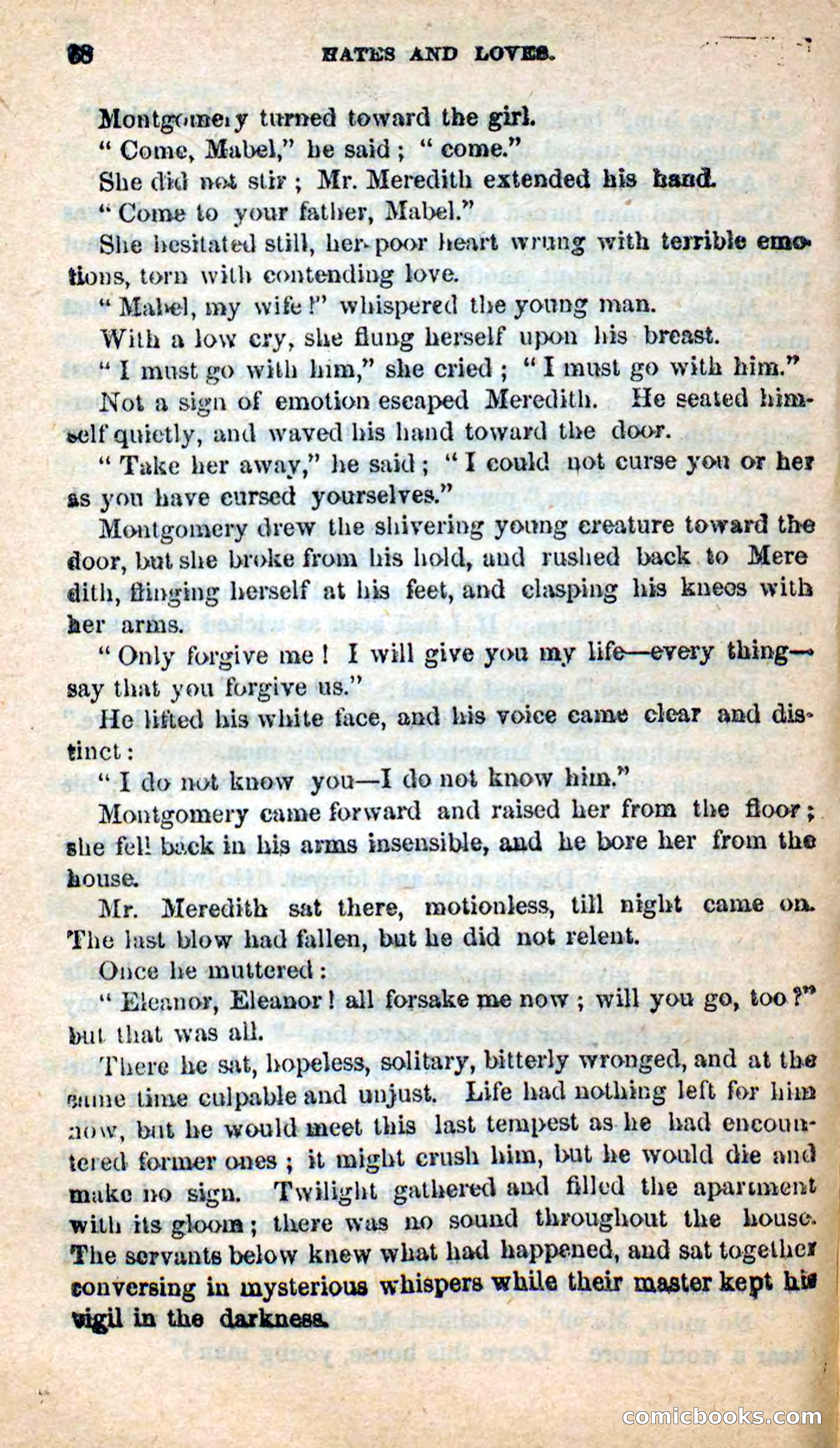 Beadle's New Dime Novels: Hates and Loves — page 68 of 116