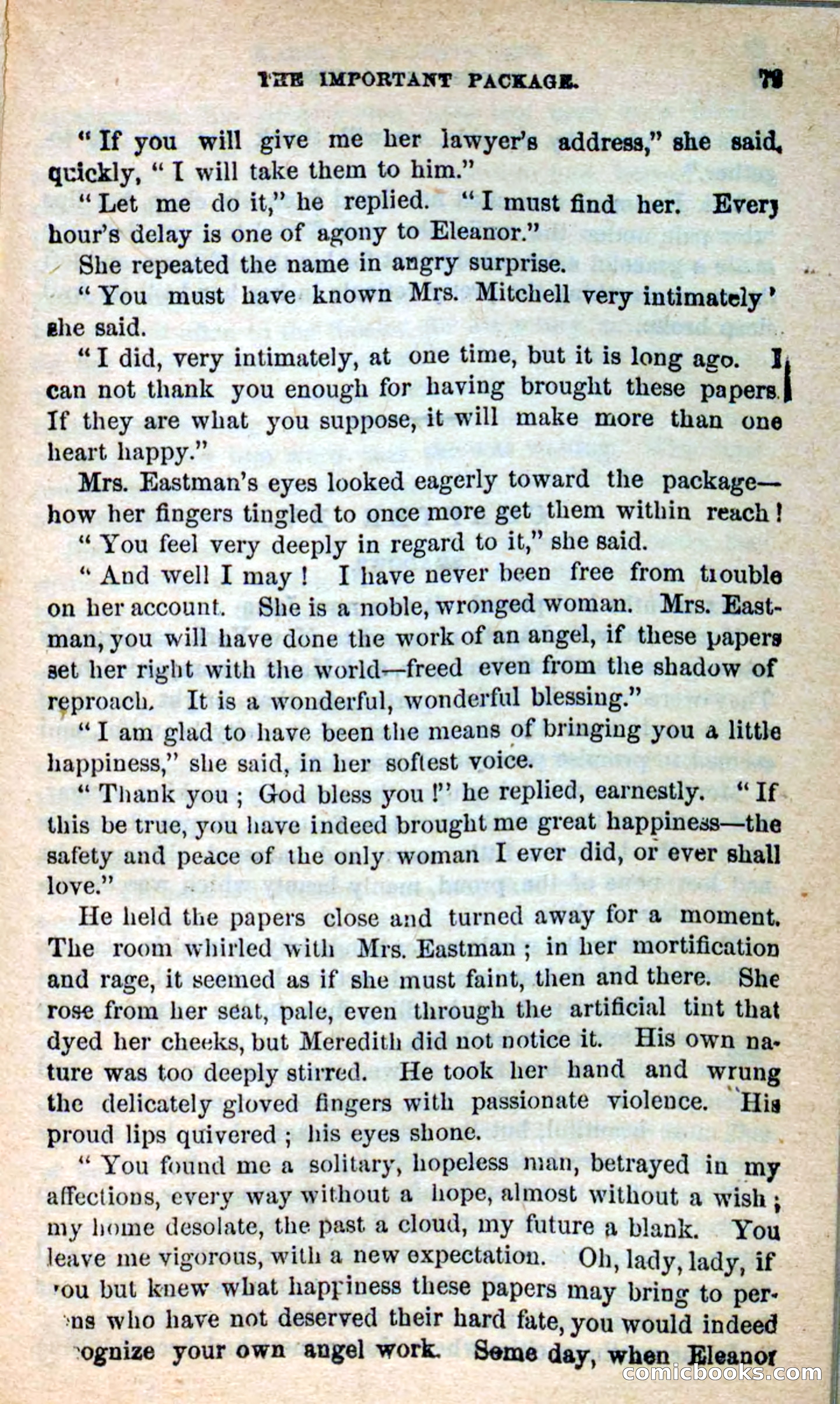 Beadle's New Dime Novels: Hates and Loves — page 79 of 116
