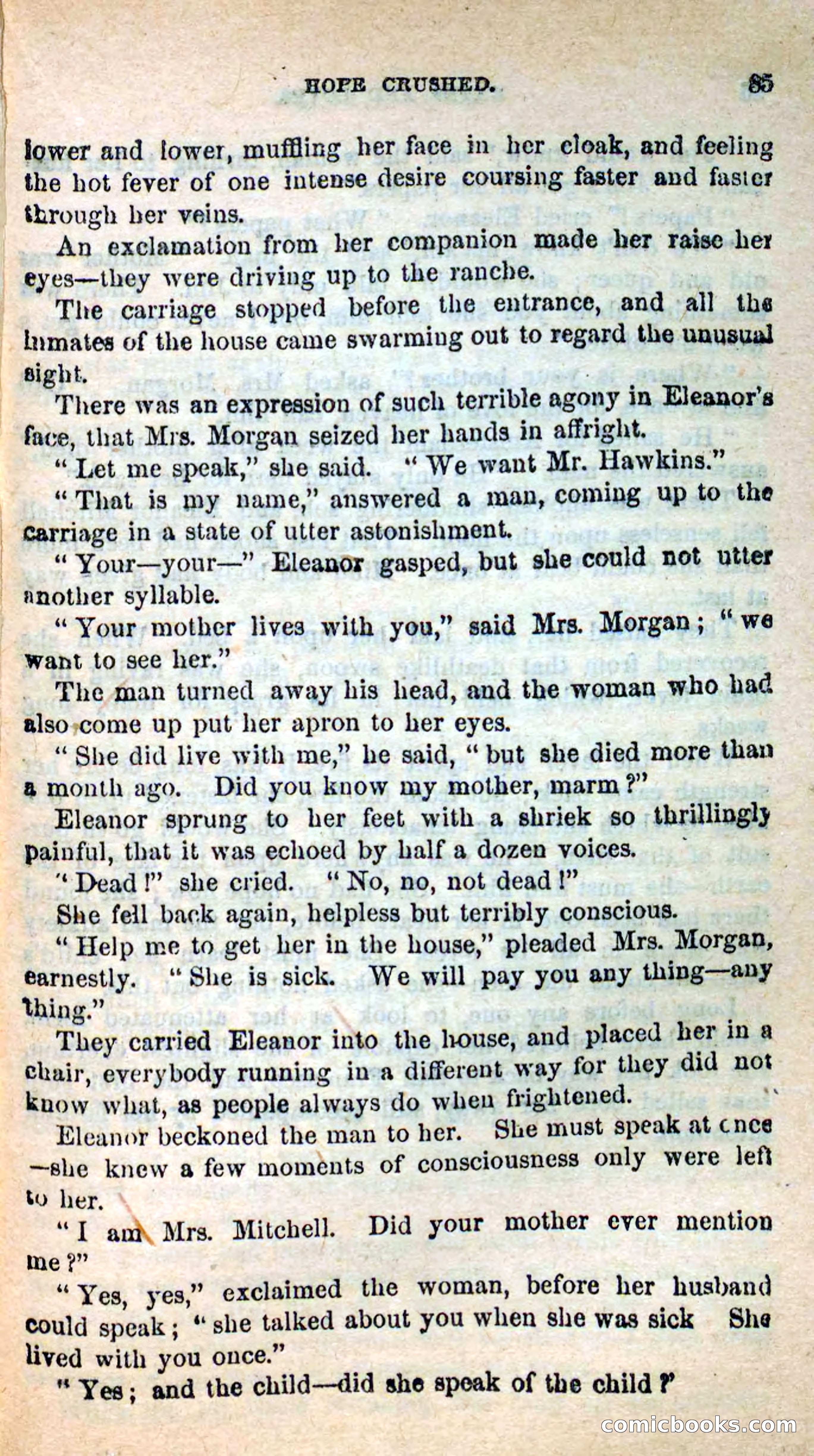 Beadle's New Dime Novels: Hates and Loves — page 85 of 116