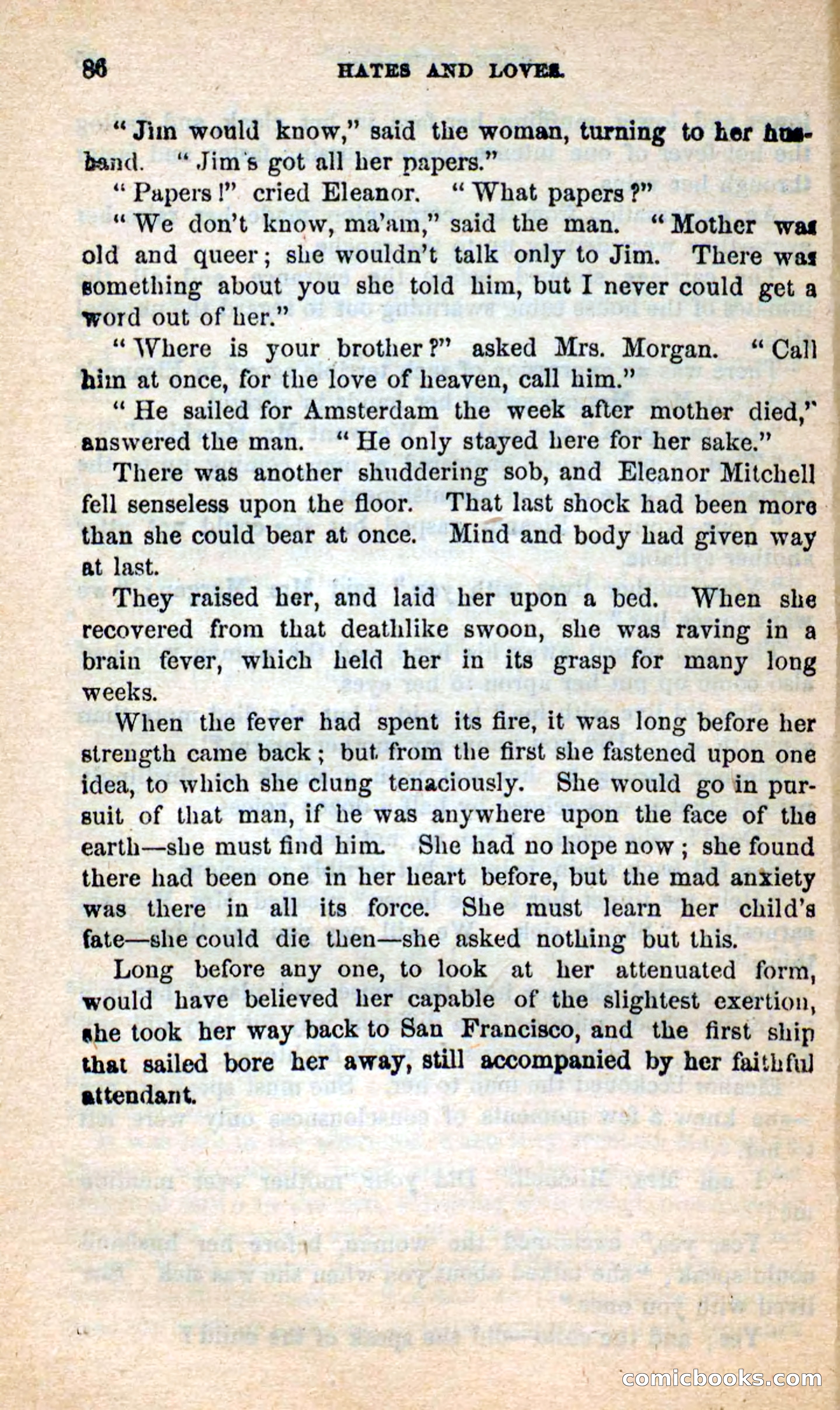 Beadle's New Dime Novels: Hates and Loves — page 86 of 116