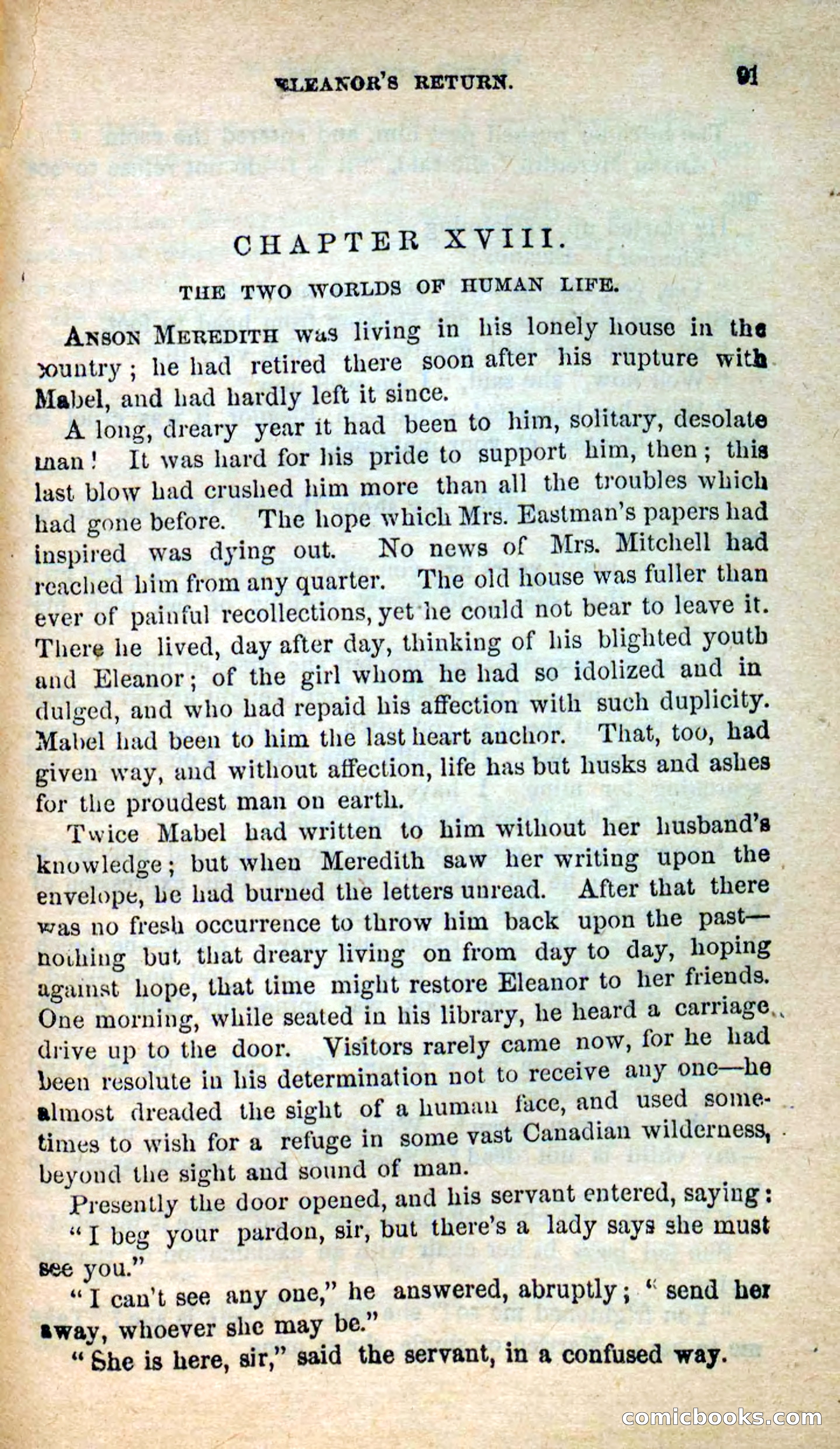 Beadle's New Dime Novels: Hates and Loves — page 91 of 116