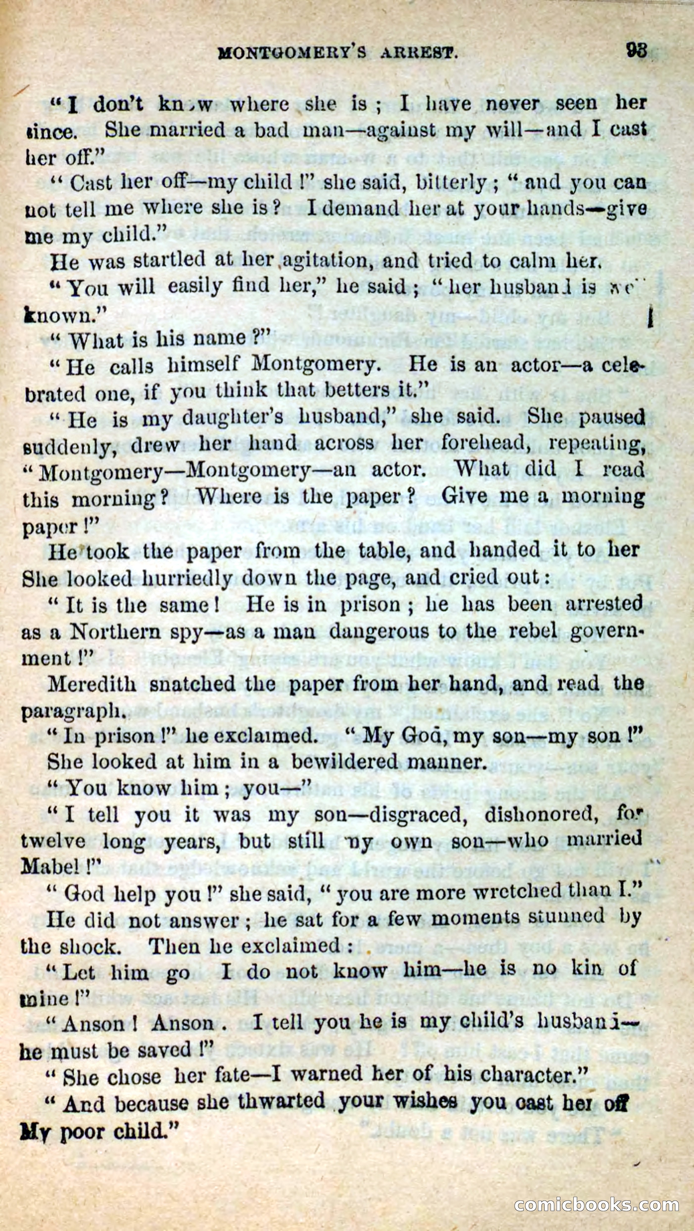 Beadle's New Dime Novels: Hates and Loves — page 93 of 116