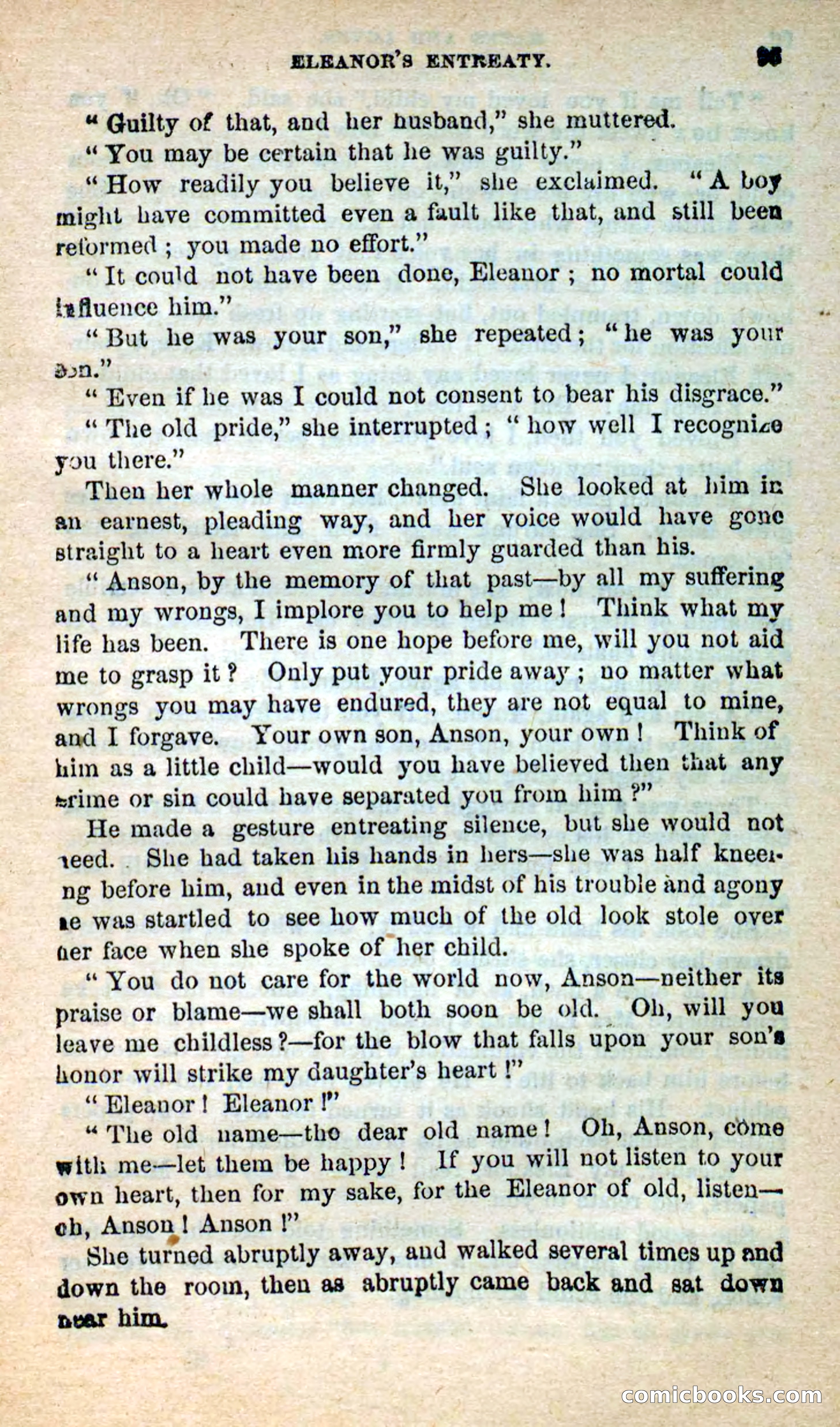 Beadle's New Dime Novels: Hates and Loves — page 95 of 116