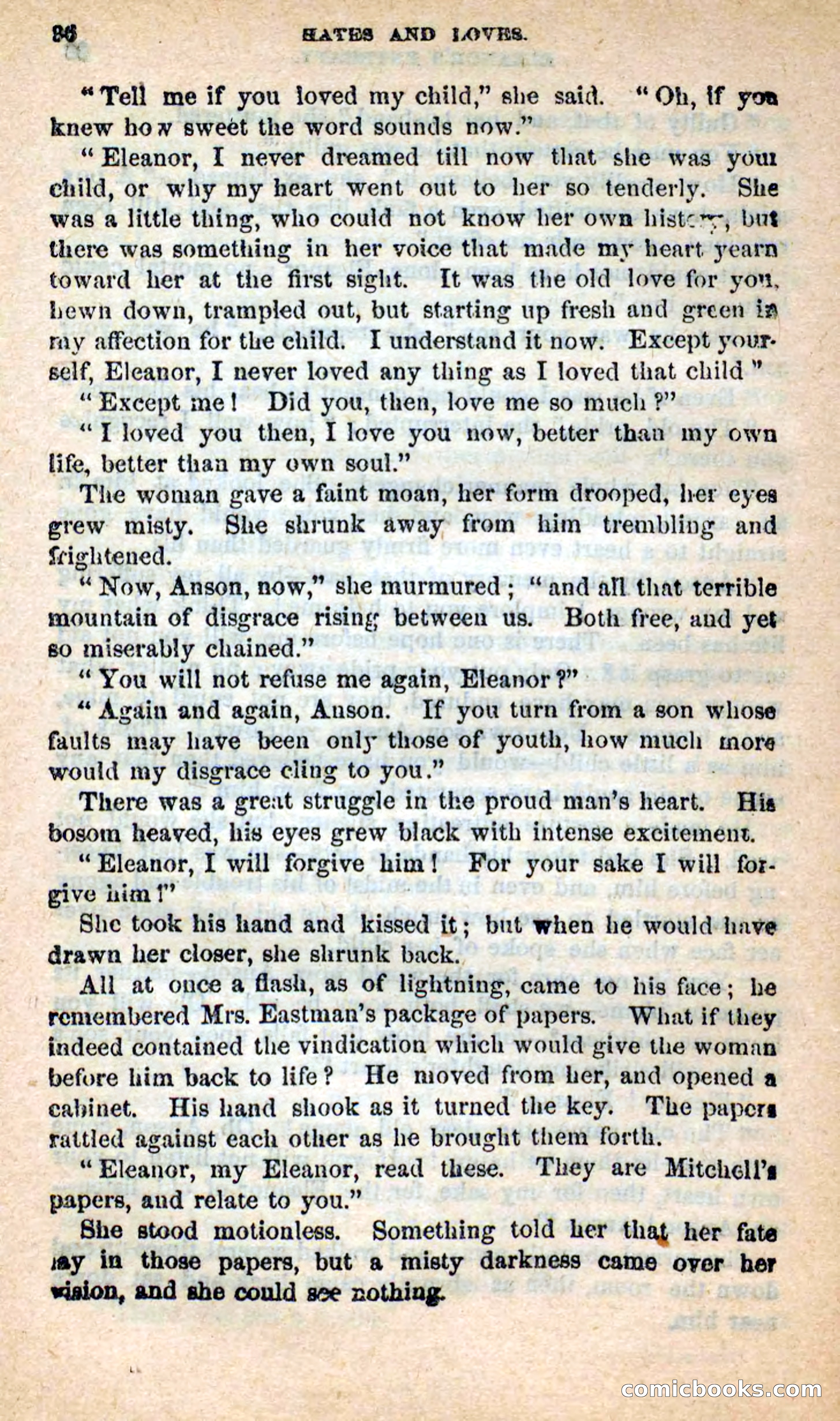 Beadle's New Dime Novels: Hates and Loves — page 96 of 116
