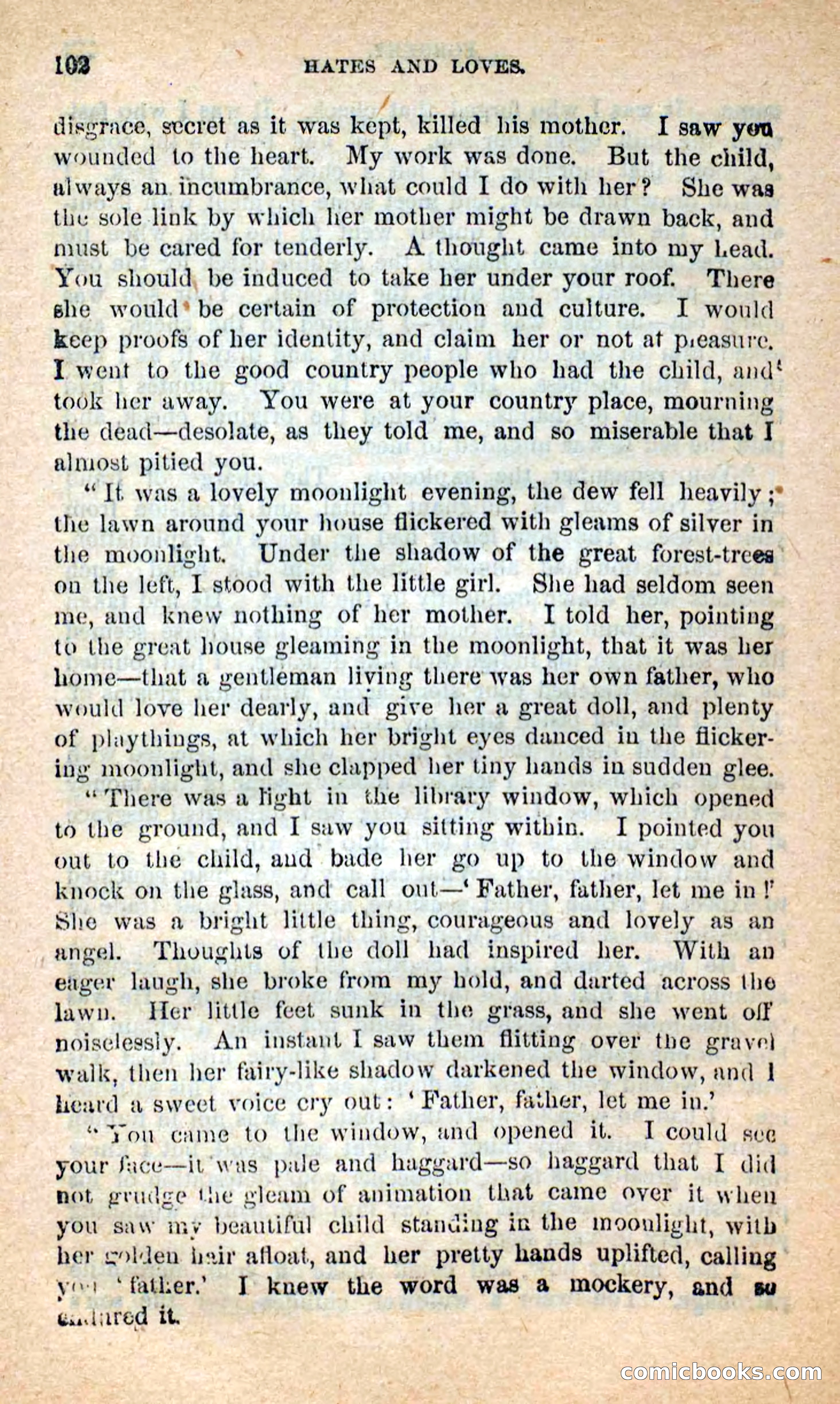Beadle's New Dime Novels: Hates and Loves — page 102 of 116