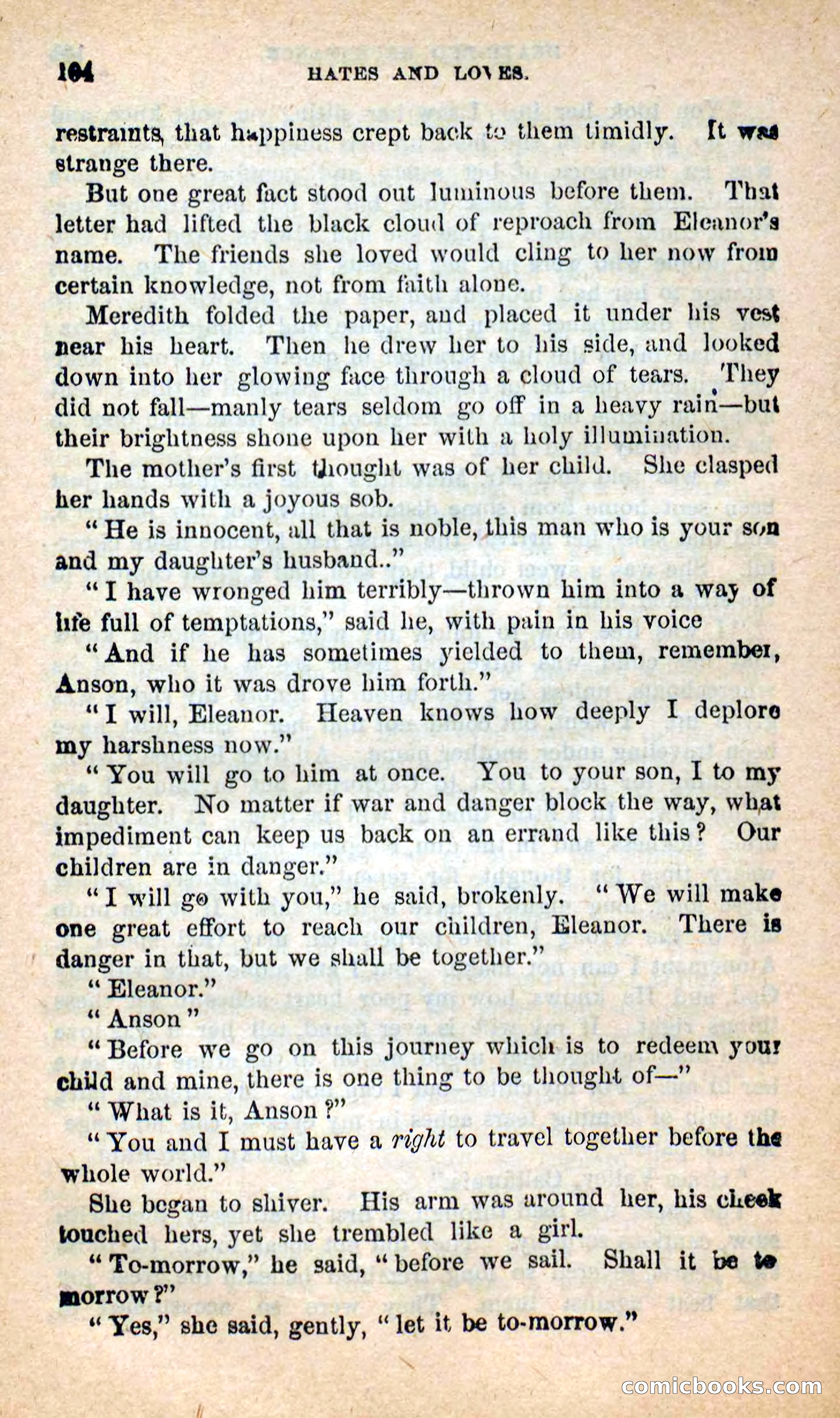 Beadle's New Dime Novels: Hates and Loves — page 104 of 116