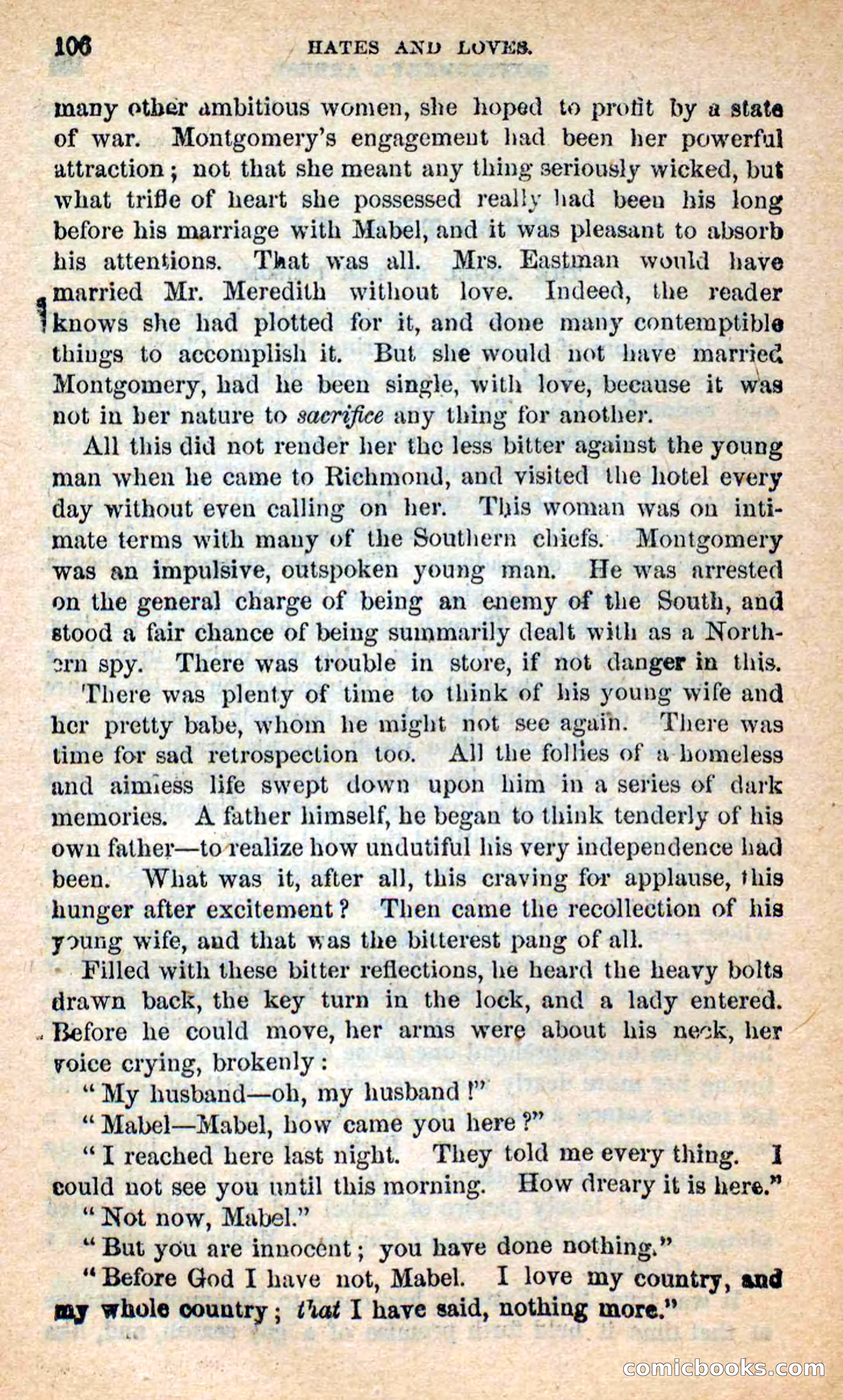 Beadle's New Dime Novels: Hates and Loves — page 106 of 116