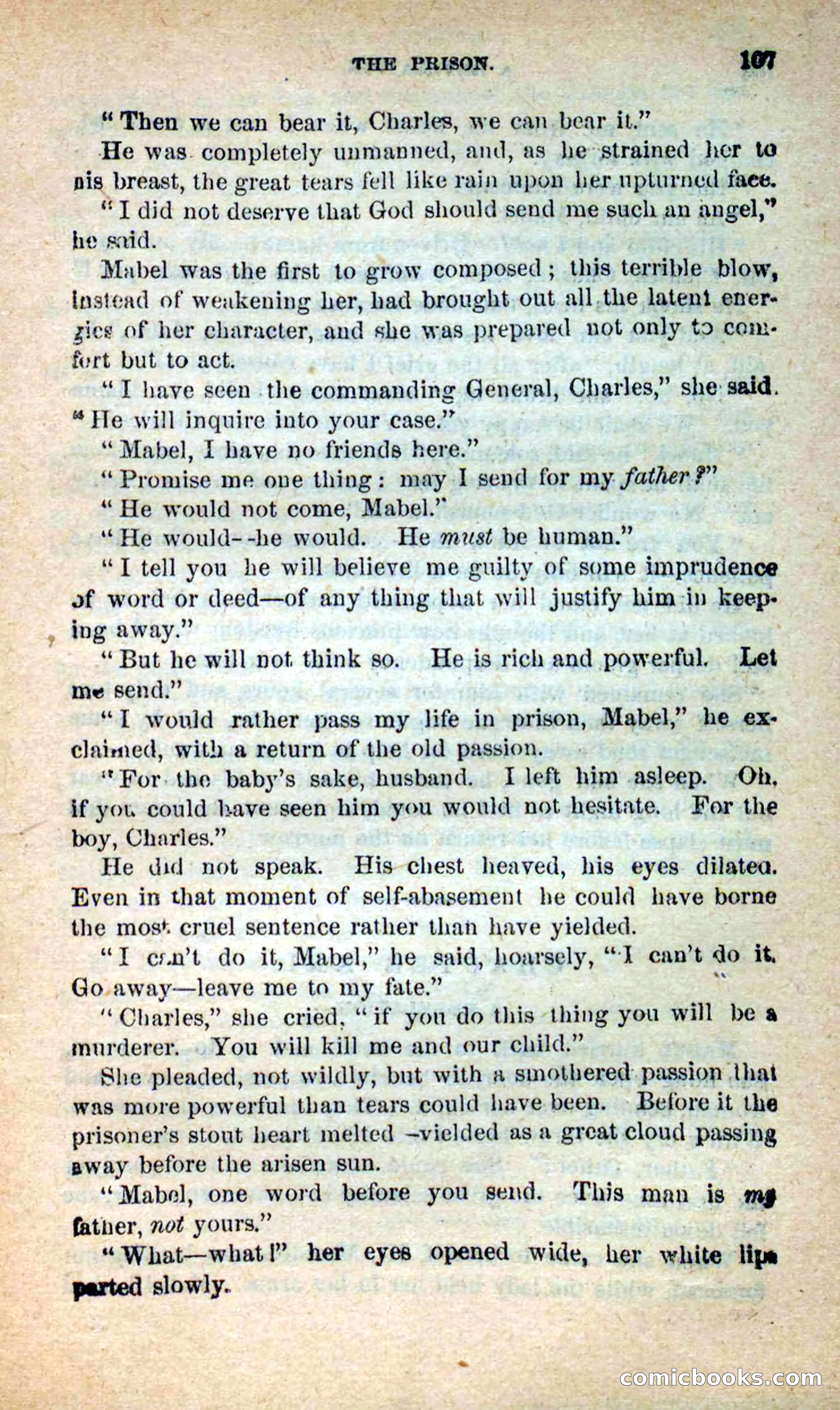 Beadle's New Dime Novels: Hates and Loves — page 107 of 116