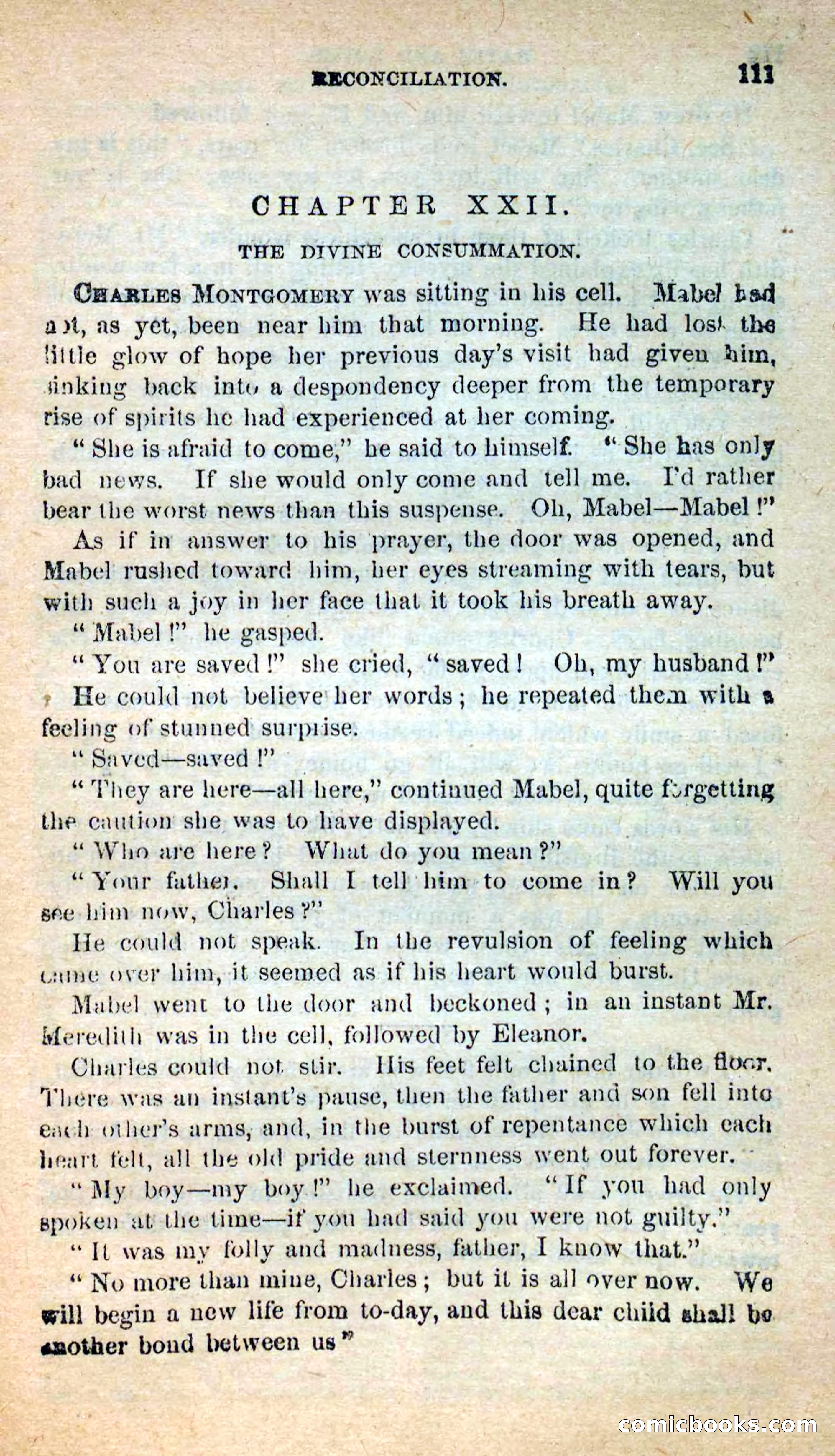 Beadle's New Dime Novels: Hates and Loves — page 111 of 116