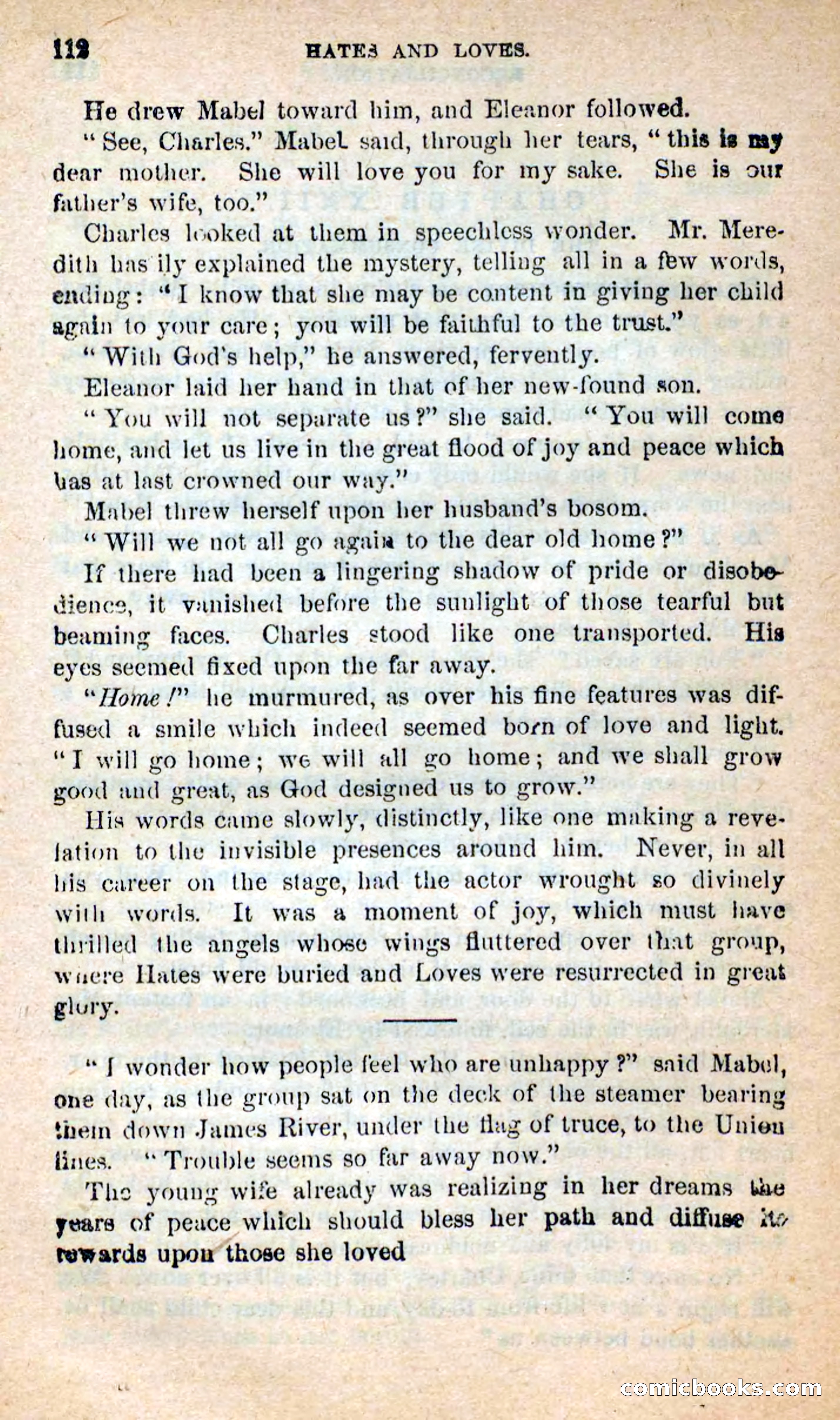 Beadle's New Dime Novels: Hates and Loves — page 112 of 116