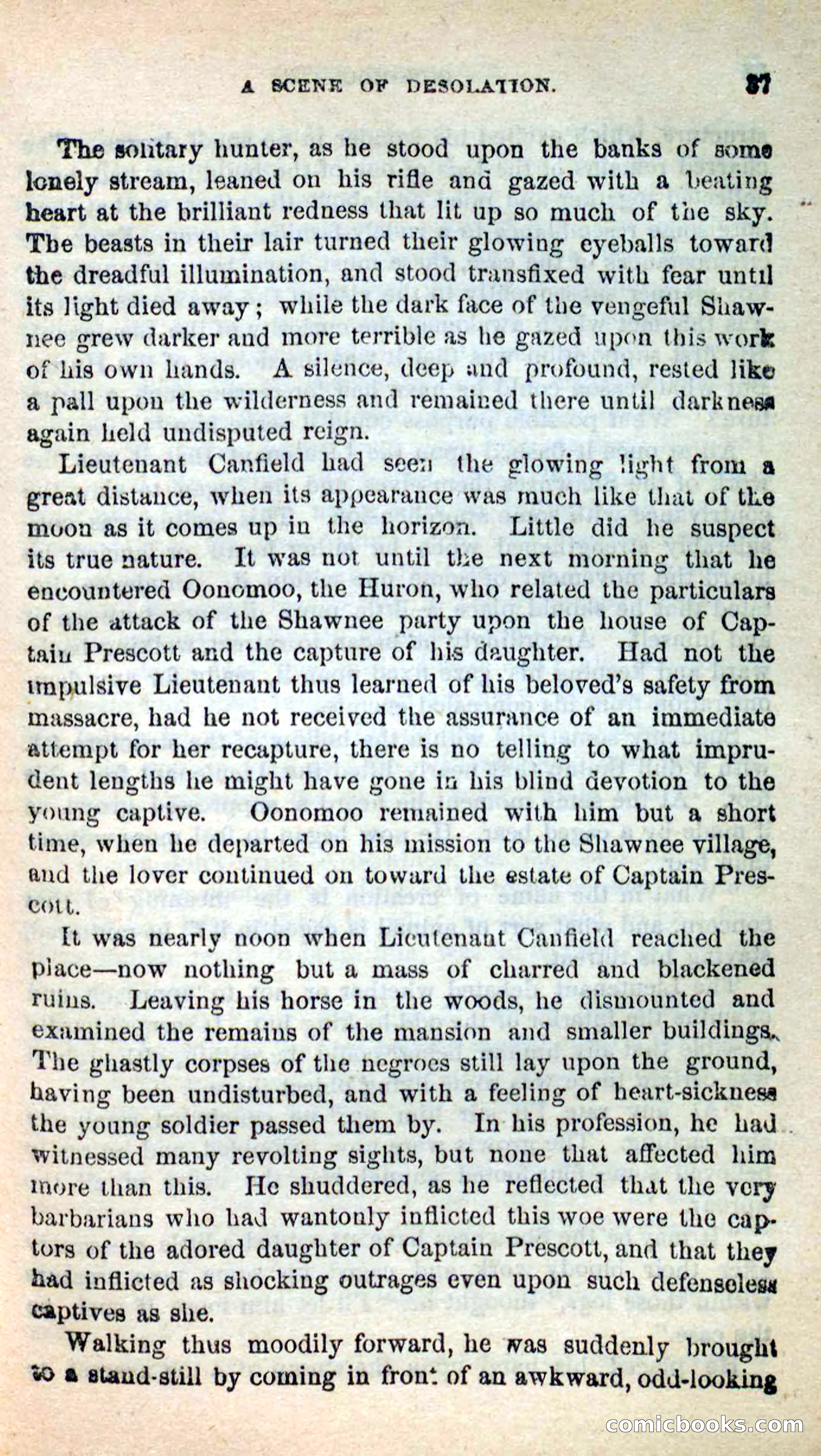 Beadle's New Dime Novels: Oonomoo, the Huron — page 35 of 116