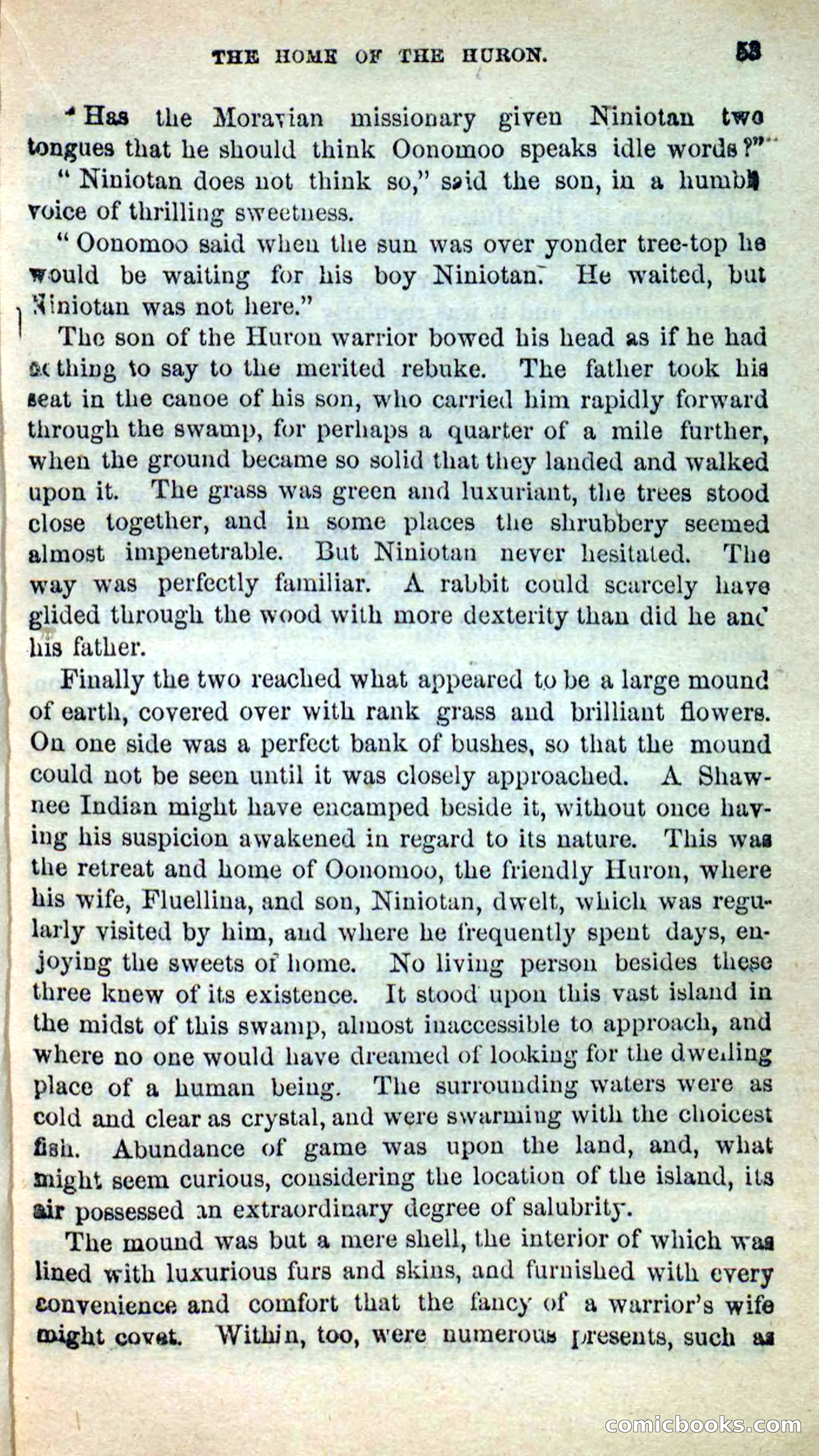 Beadle's New Dime Novels: Oonomoo, the Huron — page 51 of 116