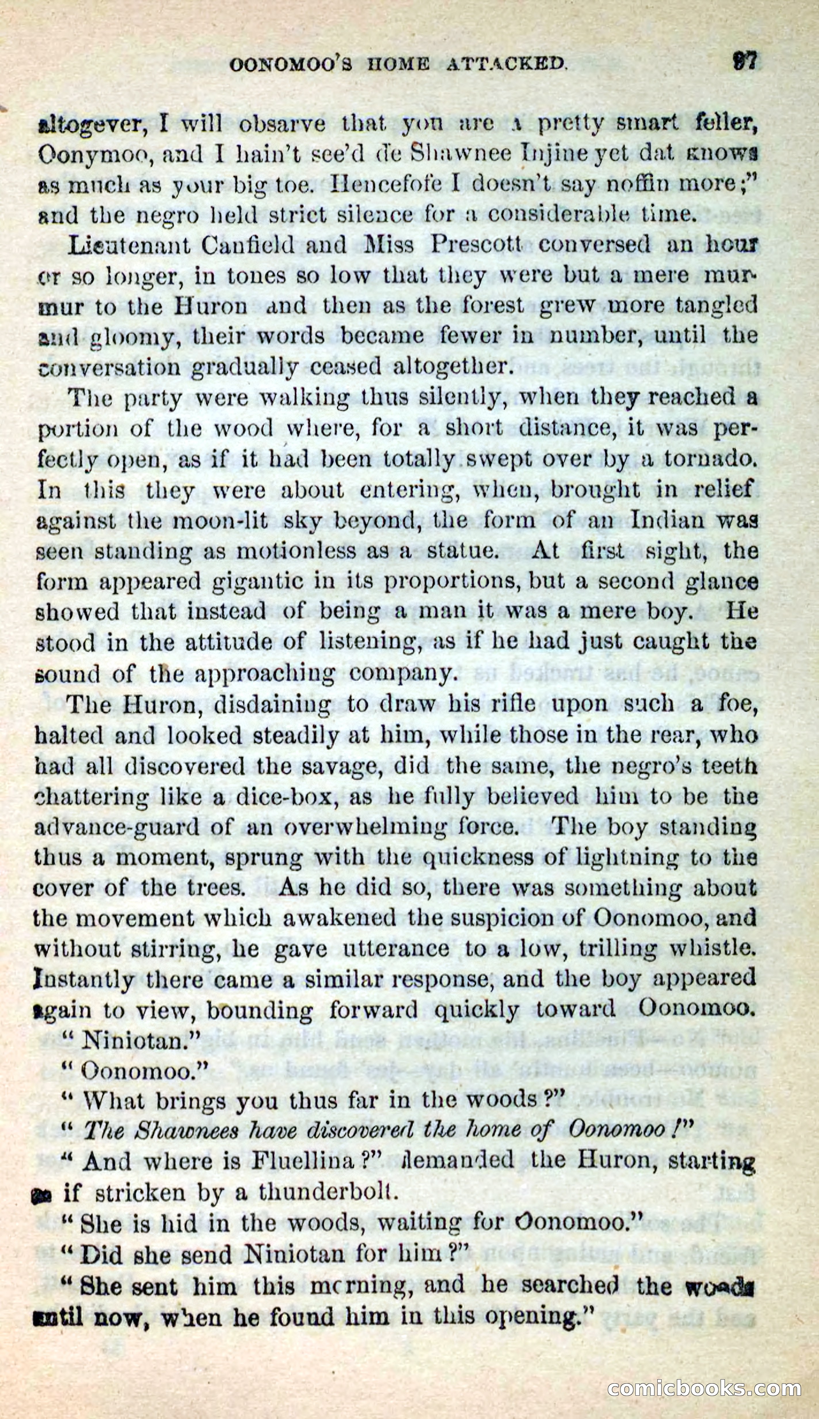 Beadle's New Dime Novels: Oonomoo, the Huron — page 95 of 116