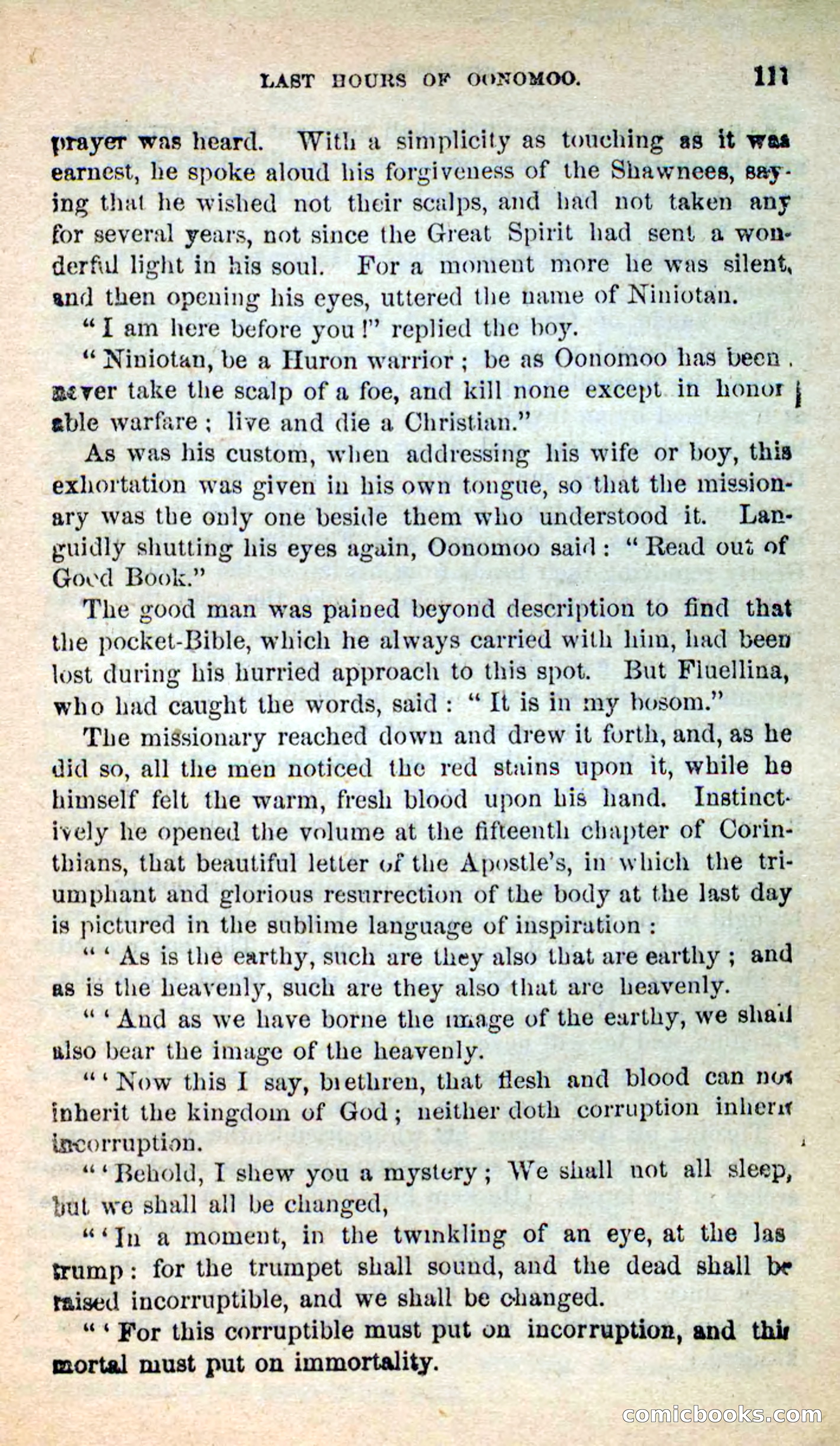 Beadle's New Dime Novels: Oonomoo, the Huron — page 109 of 116