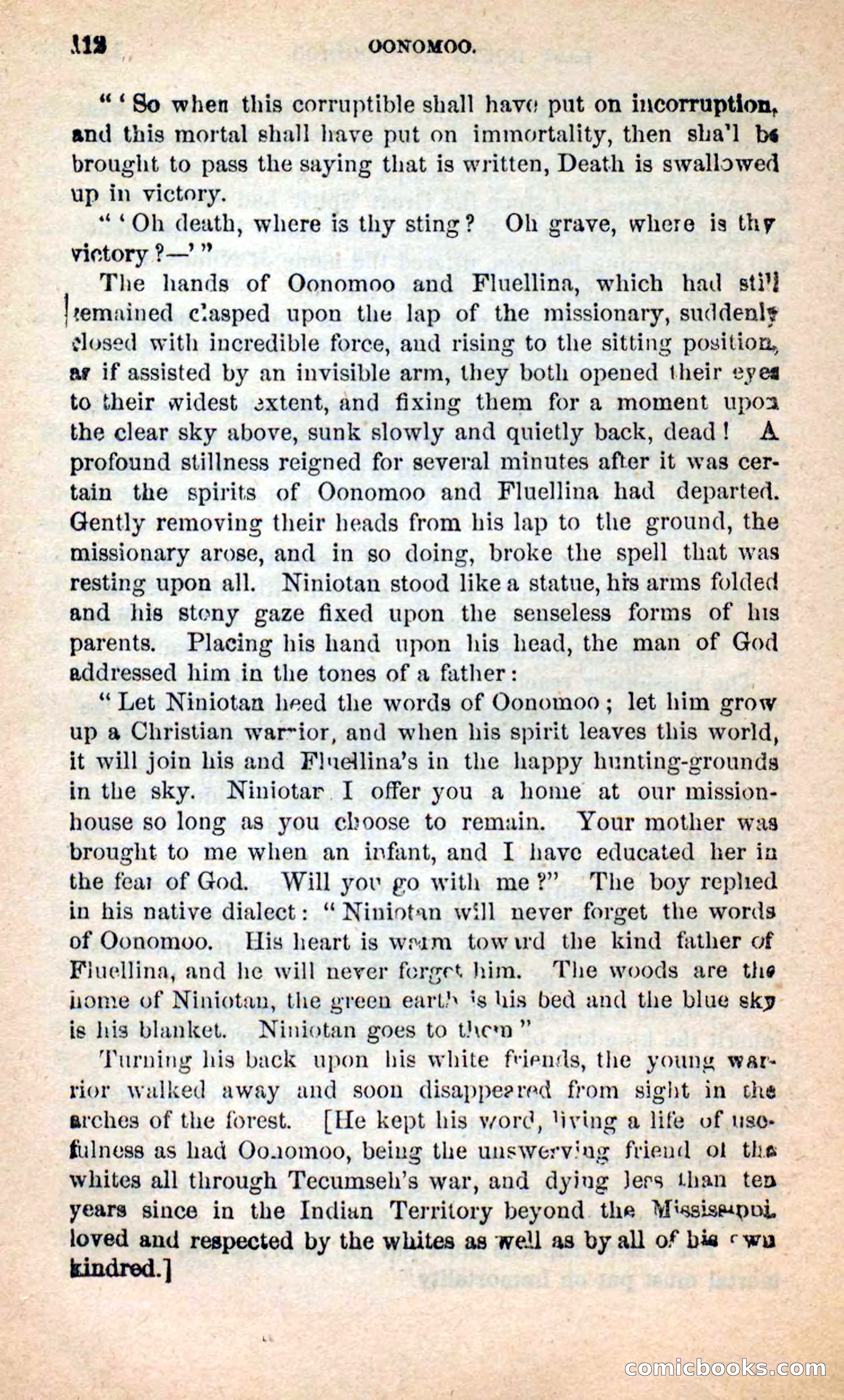 Beadle's New Dime Novels: Oonomoo, the Huron — page 110 of 116