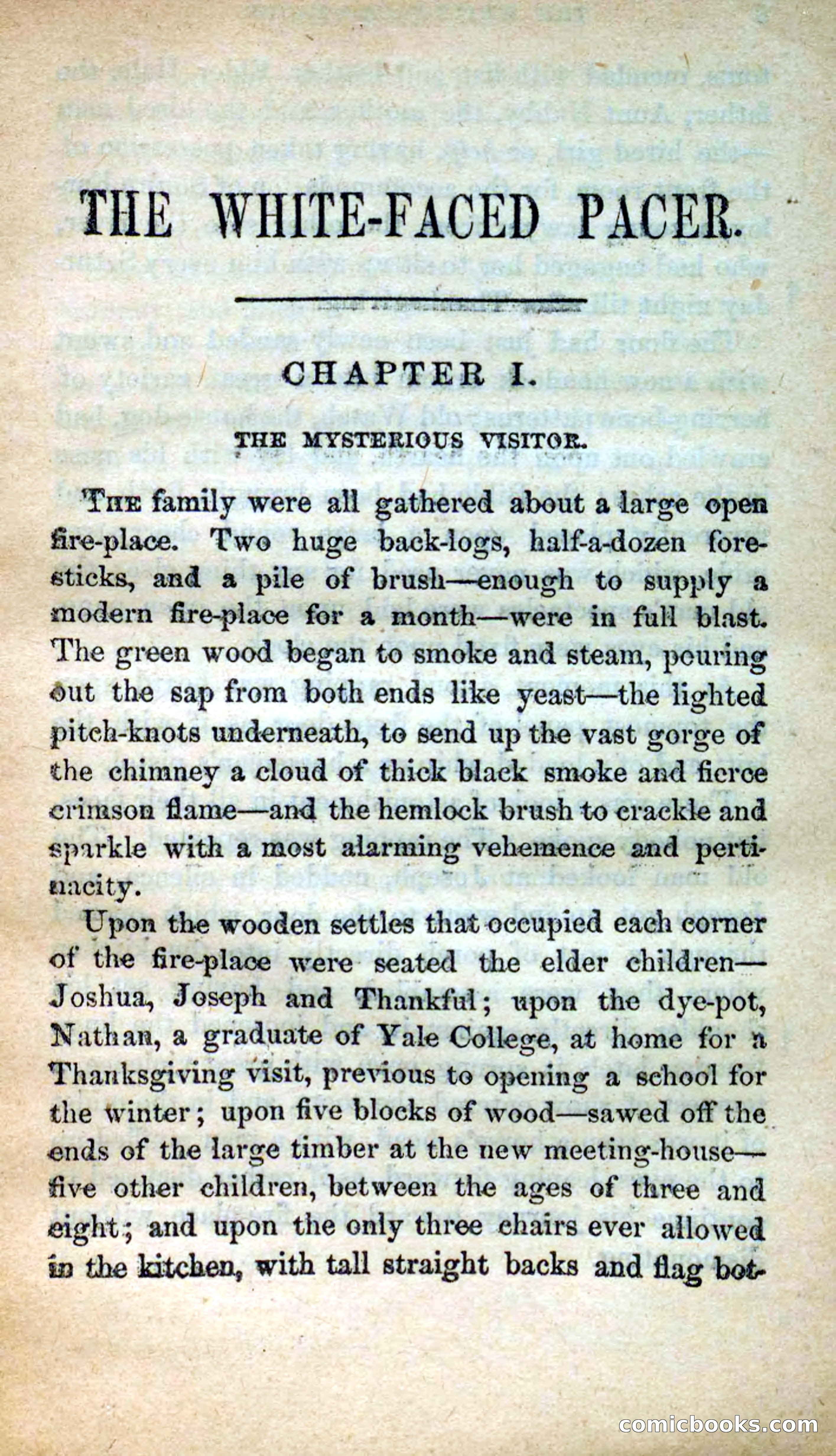 The White-Faced Pacer — page 5 of 101
