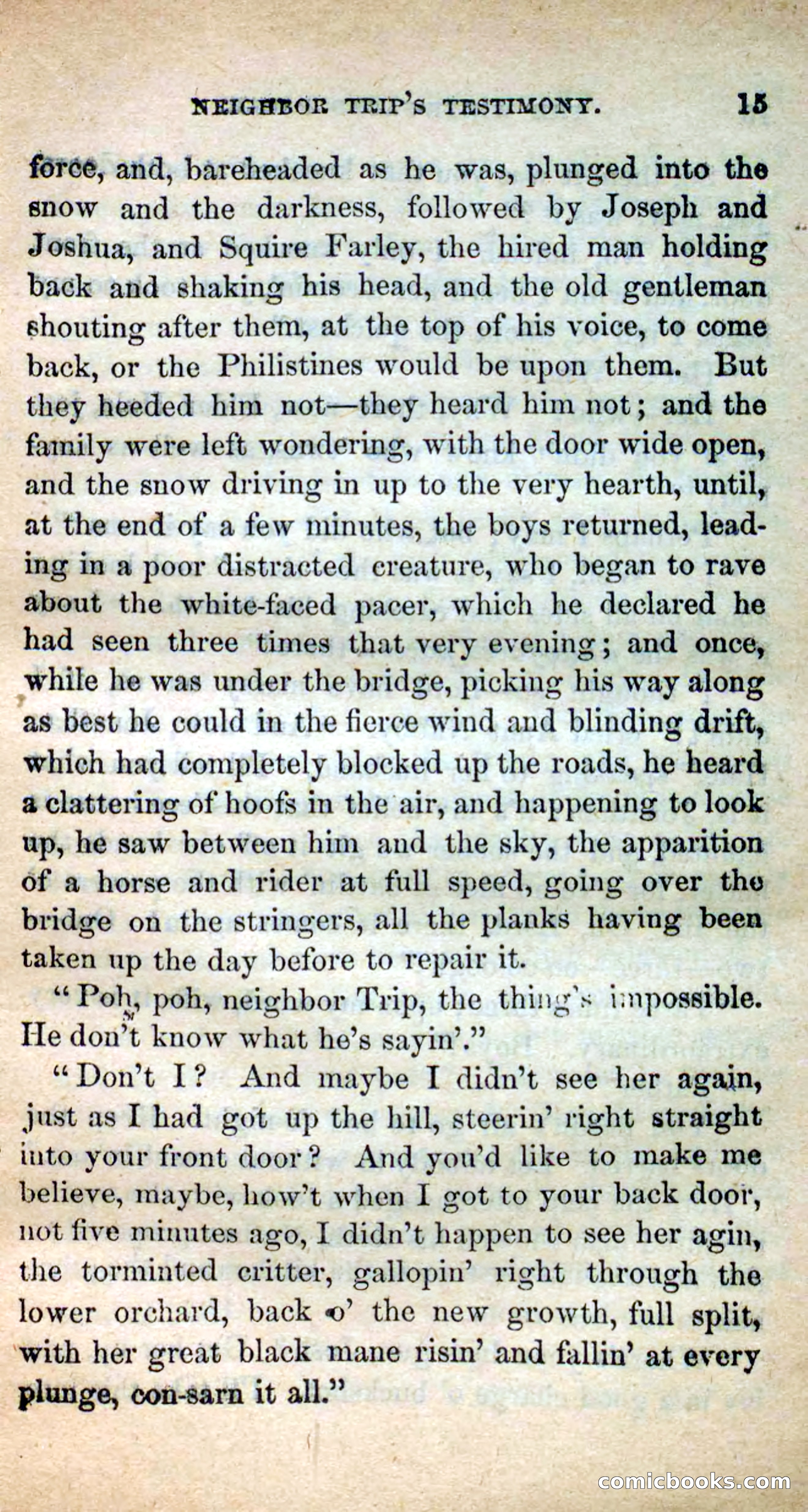 The White-Faced Pacer — page 13 of 101