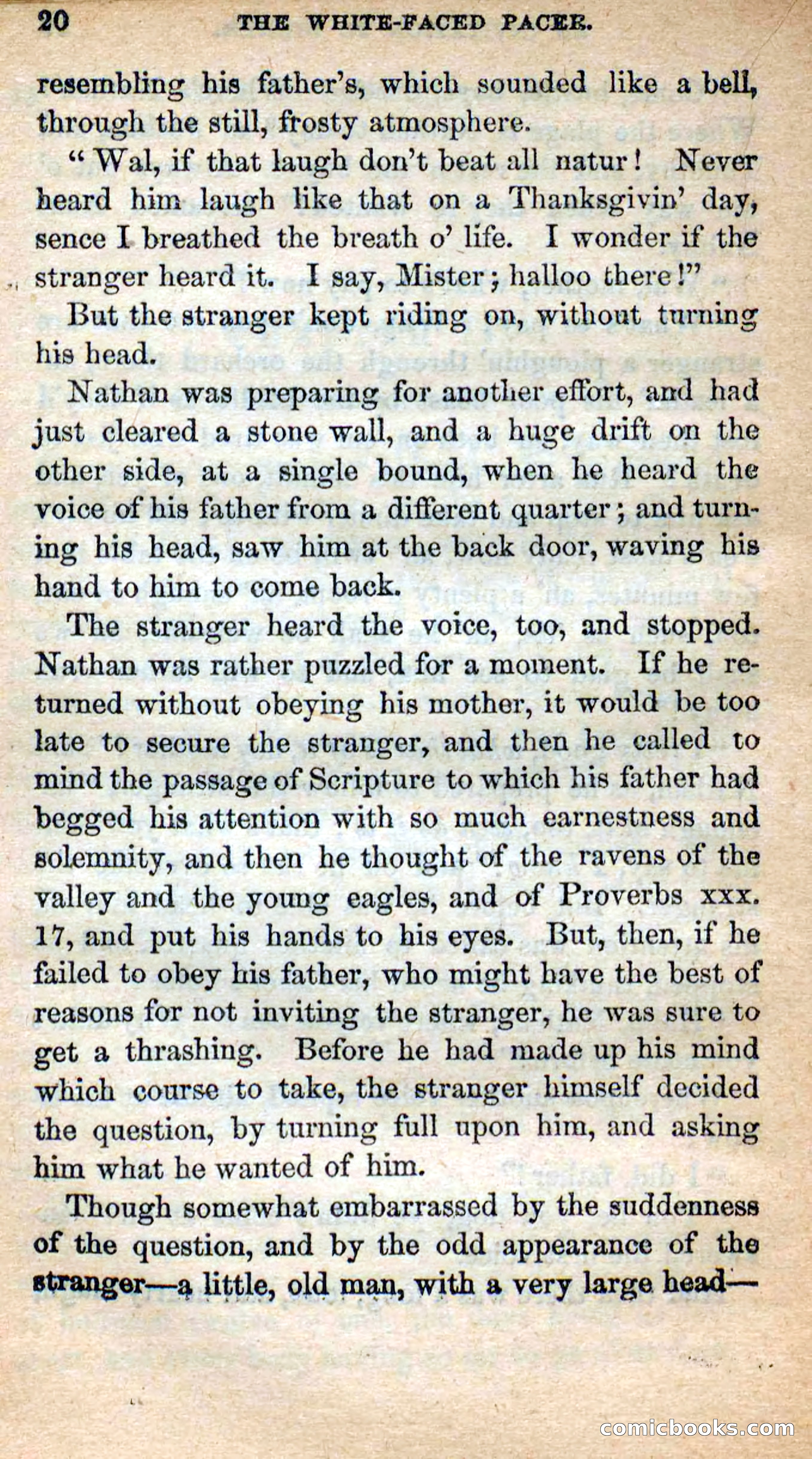 The White-Faced Pacer — page 18 of 101