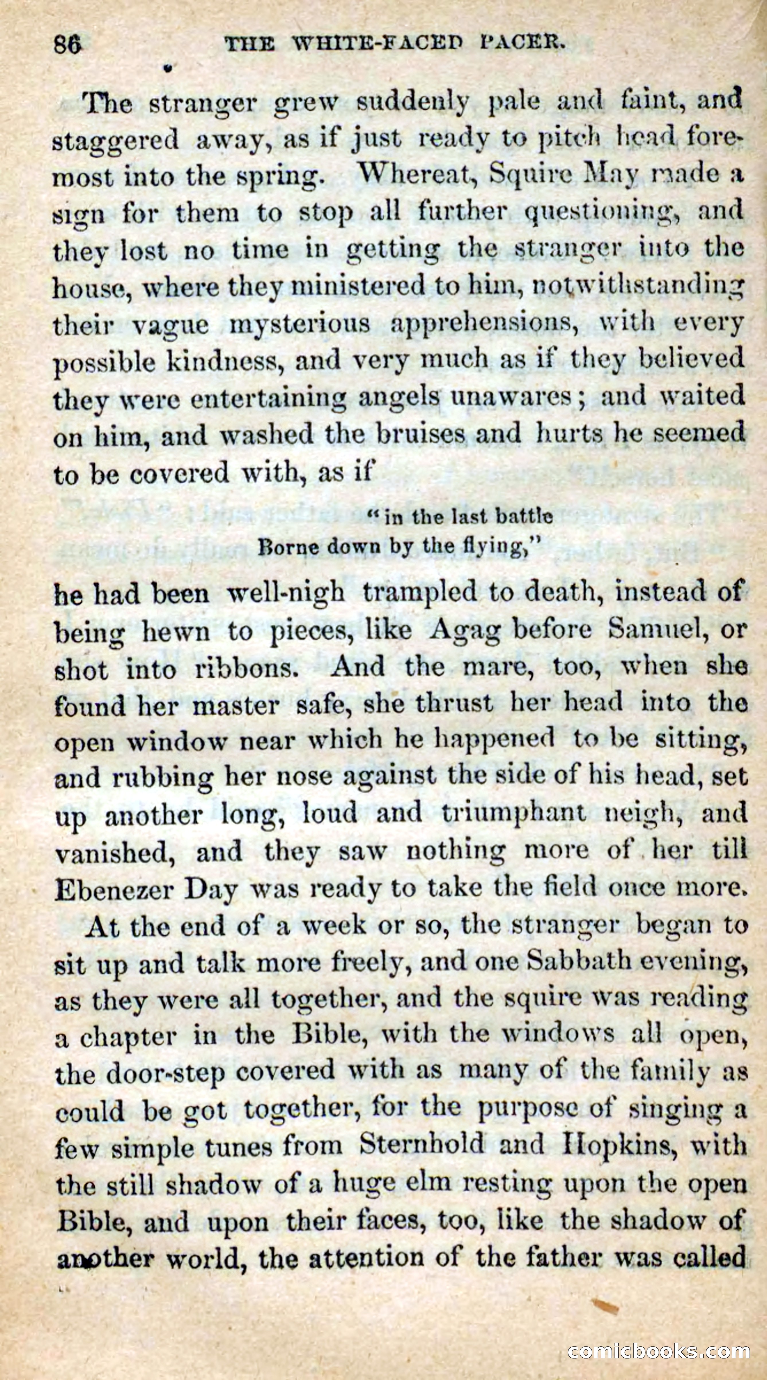 The White-Faced Pacer — page 84 of 101