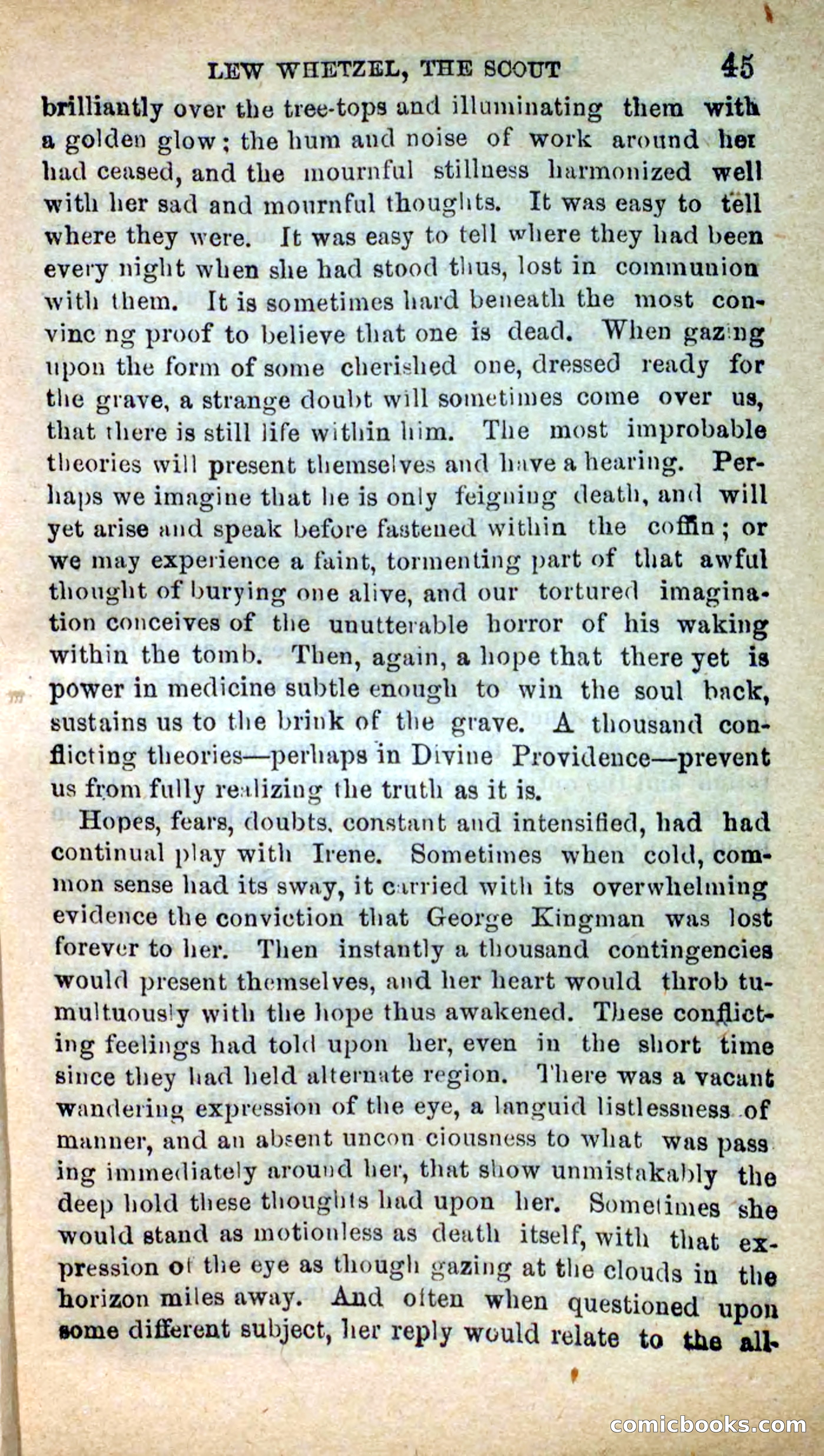 Wetzel, the Scout — page 41 of 101