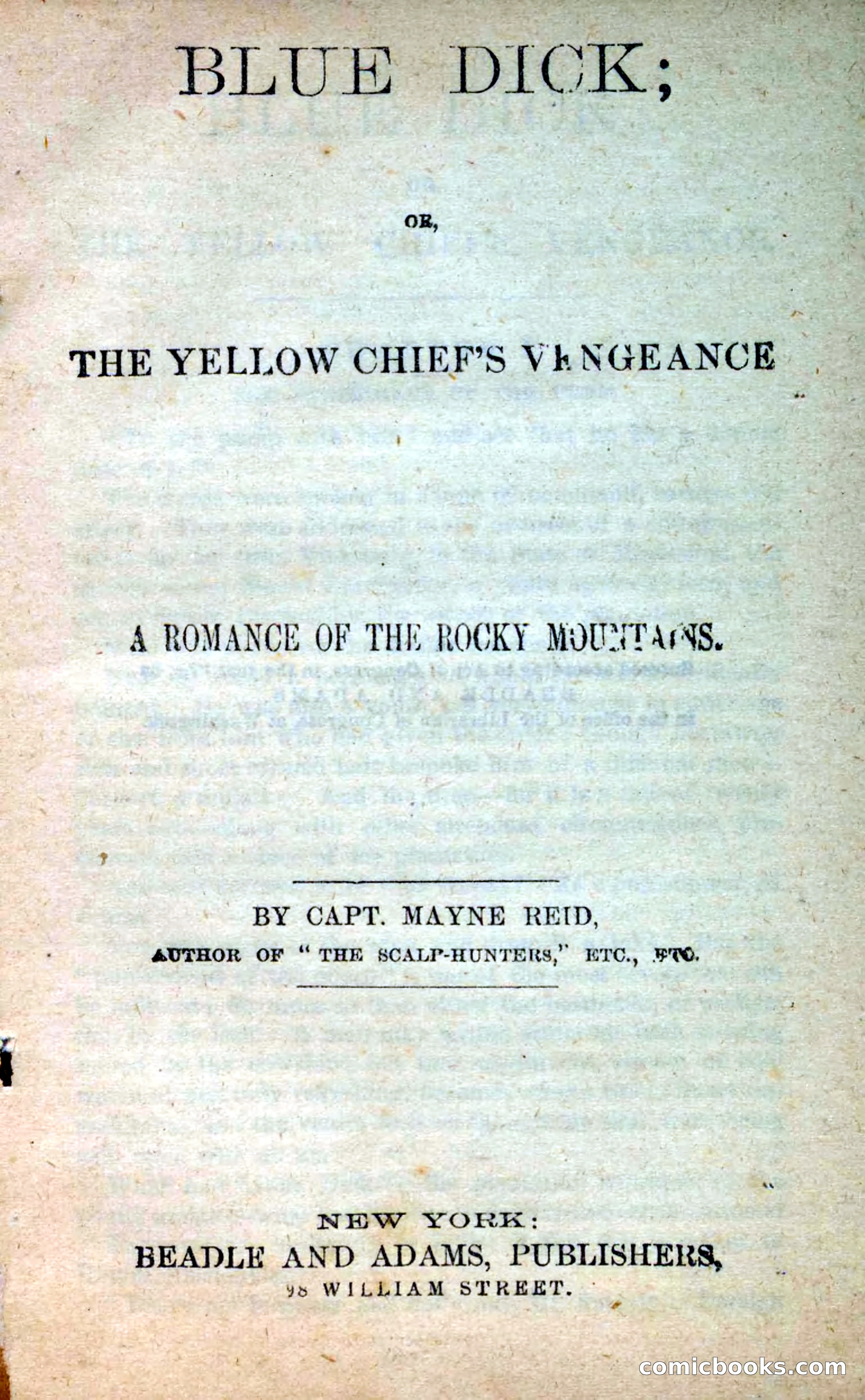 Beadle's New Dime Novels: Blue Dick — page 3 of 100