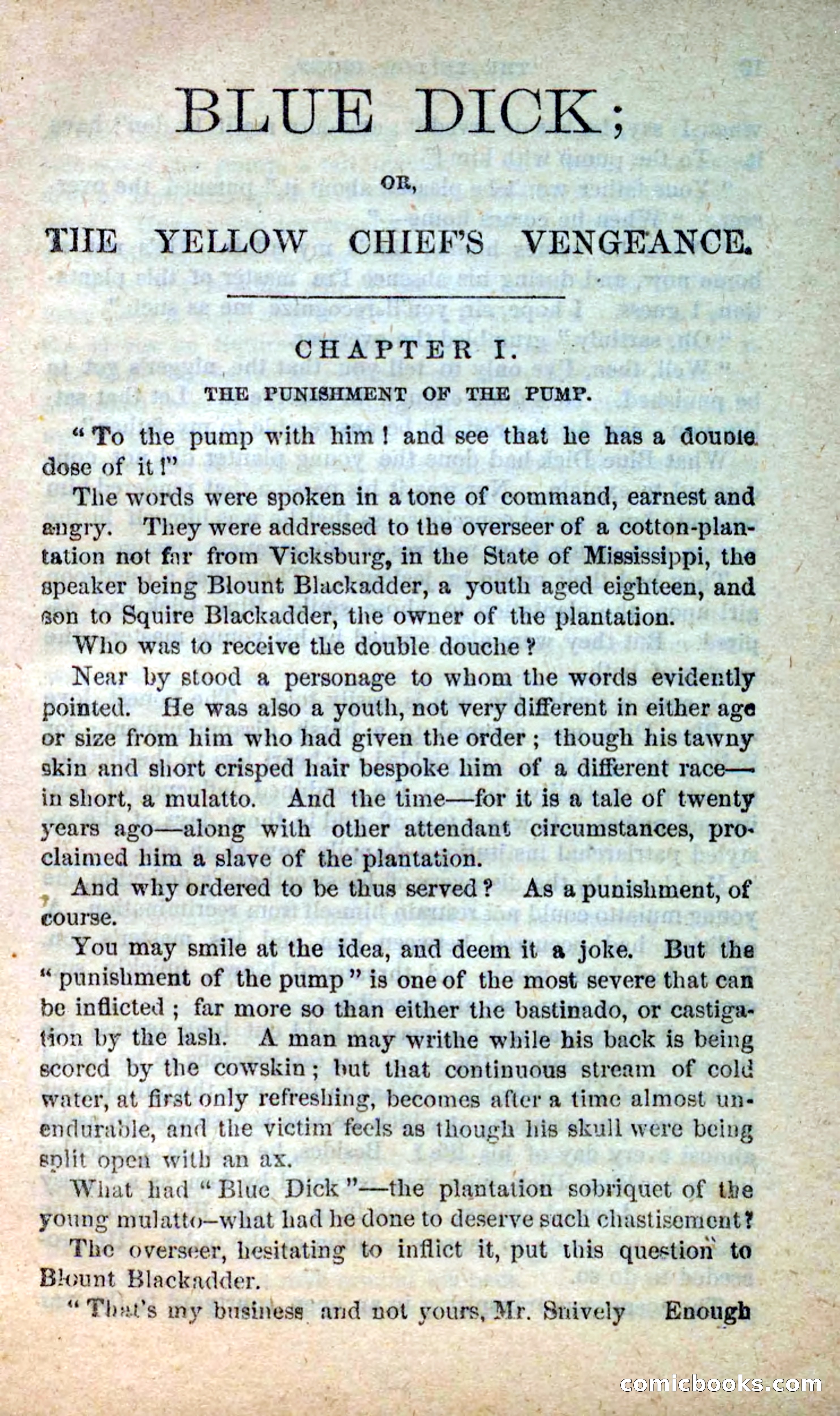 Beadle's New Dime Novels: Blue Dick — page 5 of 100
