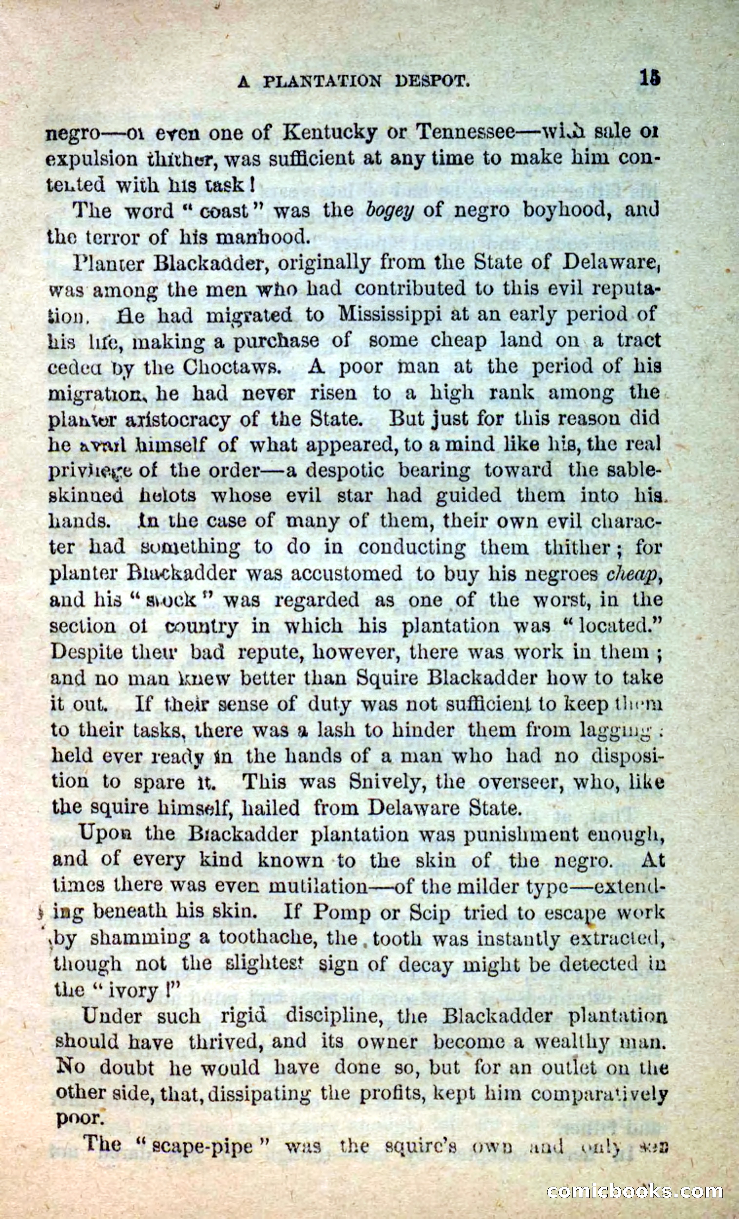 Beadle's New Dime Novels: Blue Dick — page 11 of 100