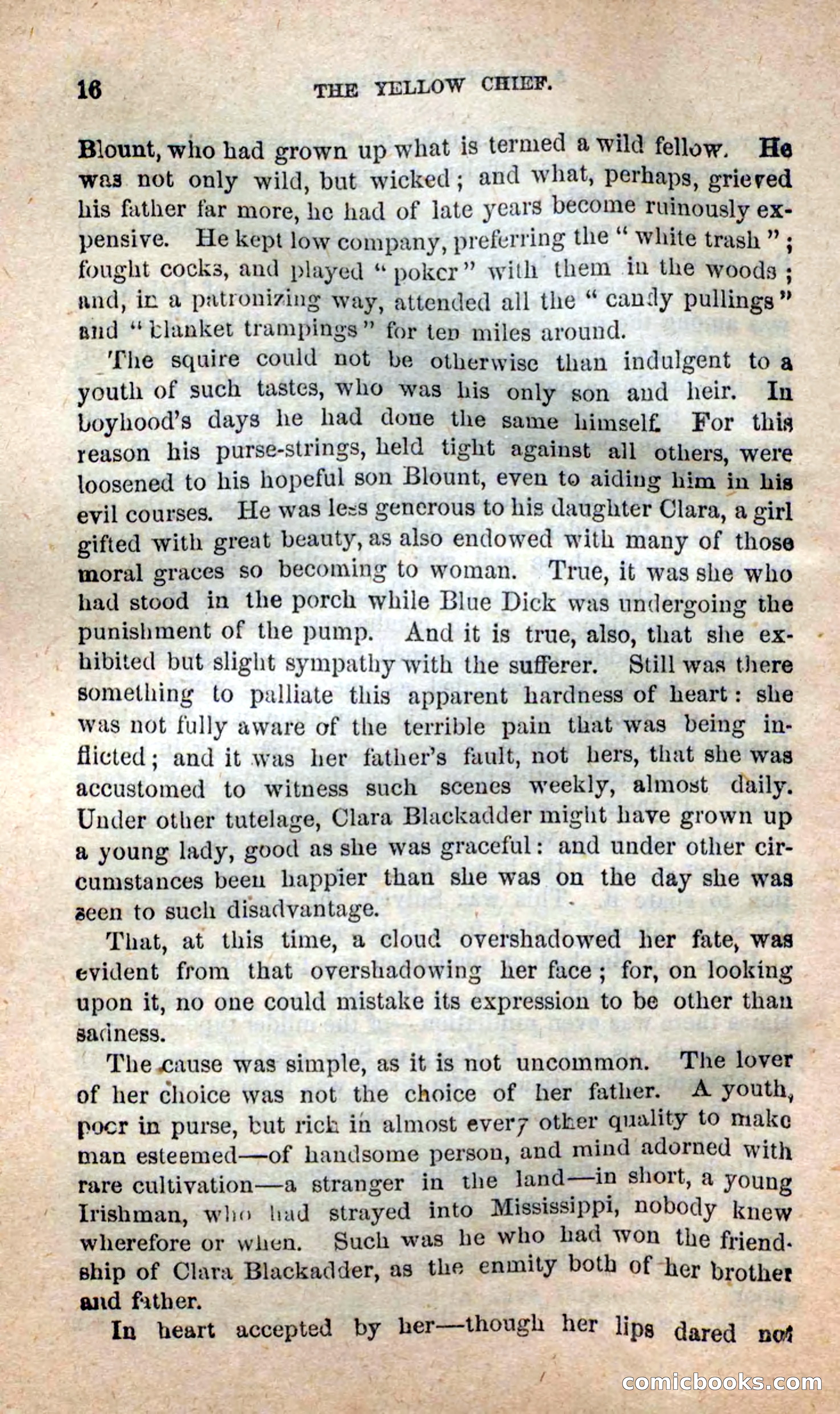 Beadle's New Dime Novels: Blue Dick — page 12 of 100