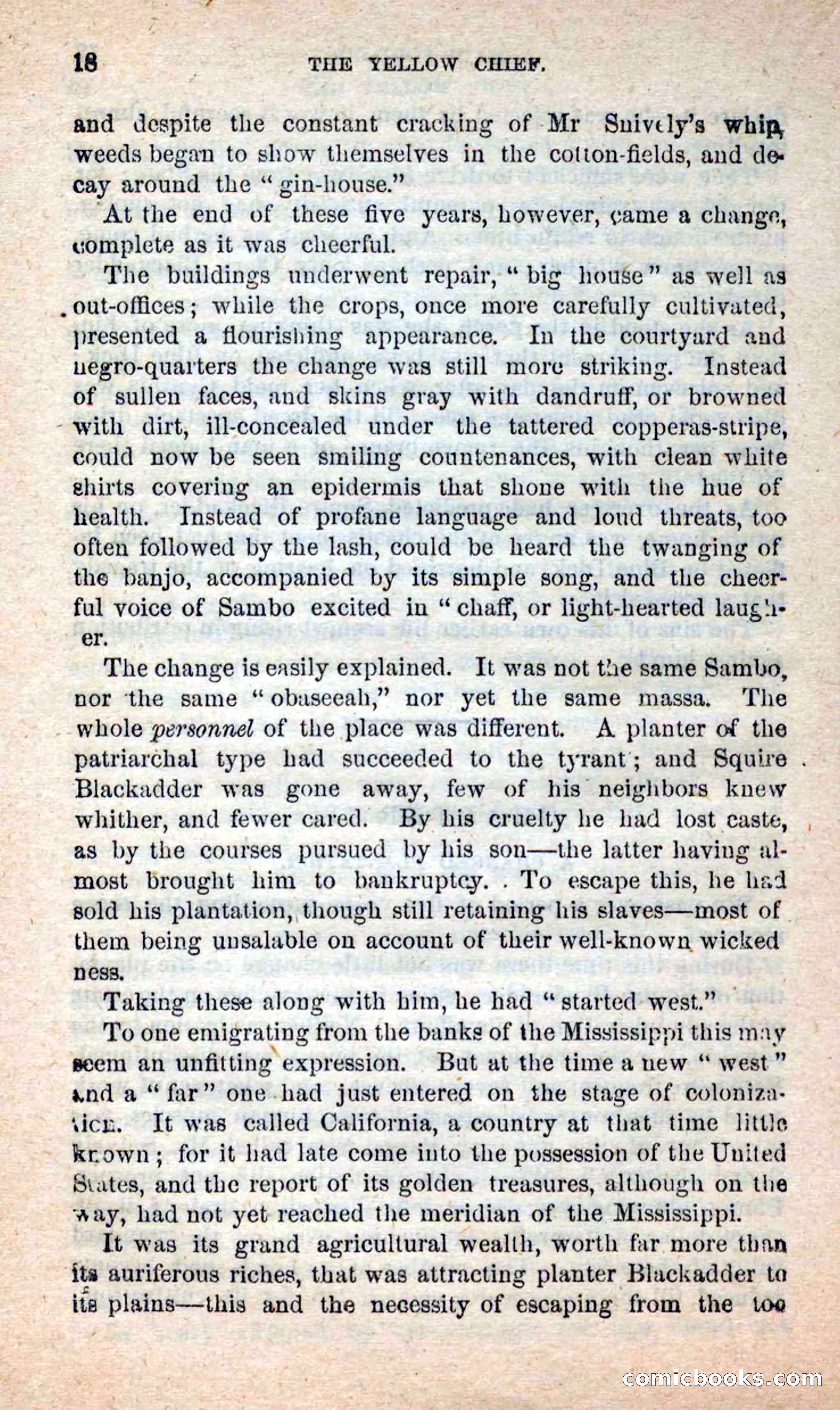 Beadle's New Dime Novels: Blue Dick — page 14 of 100