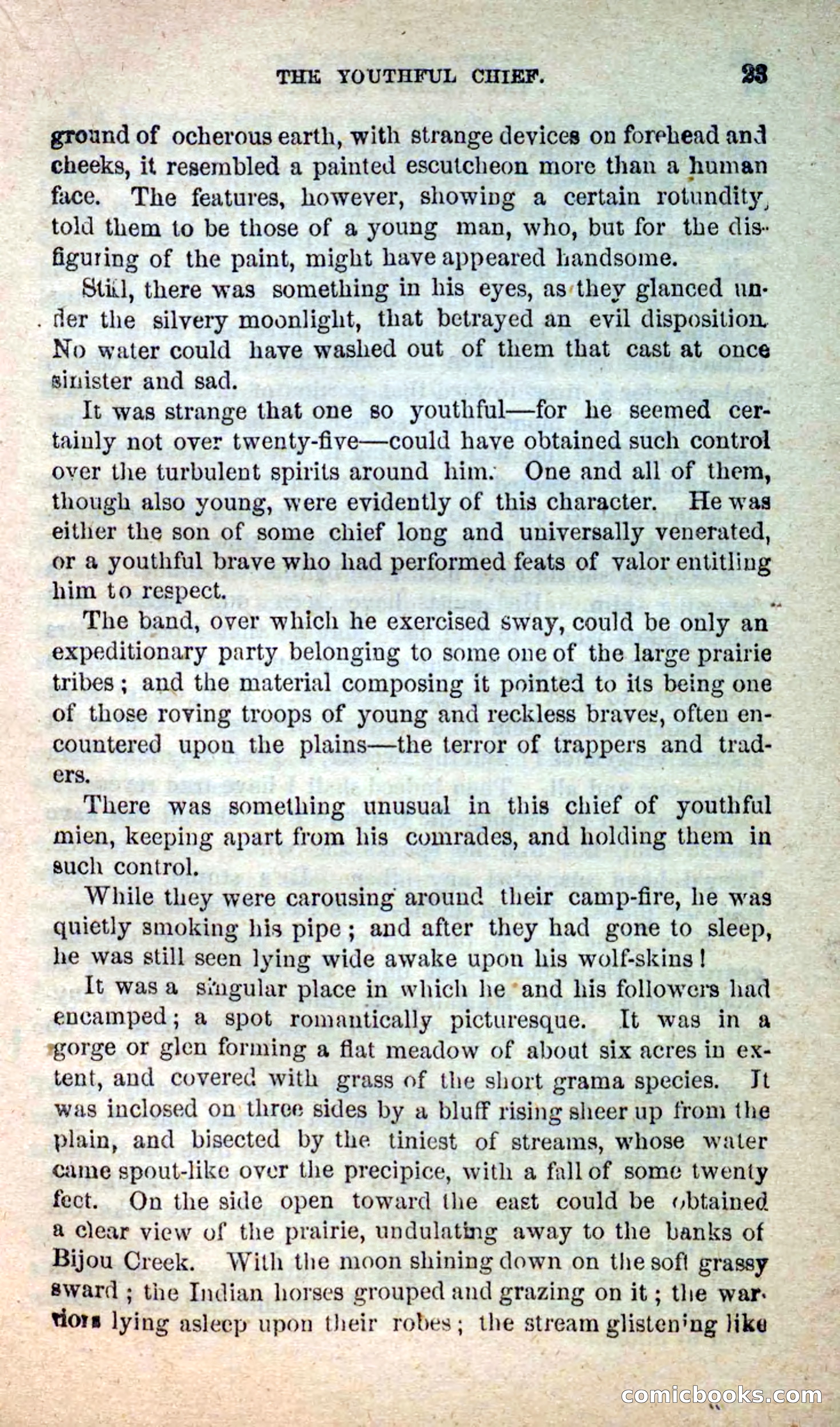 Beadle's New Dime Novels: Blue Dick — page 19 of 100