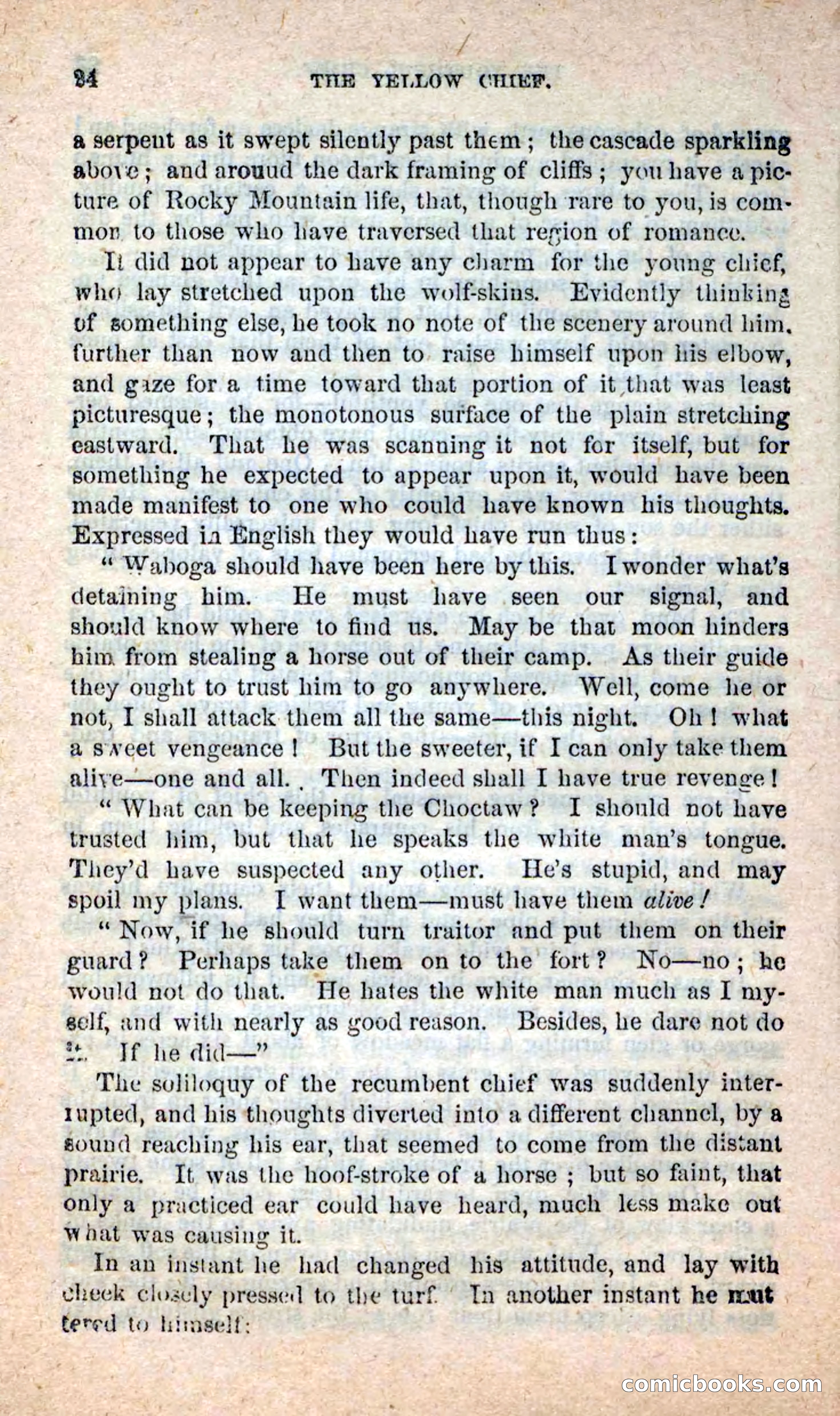 Beadle's New Dime Novels: Blue Dick — page 20 of 100