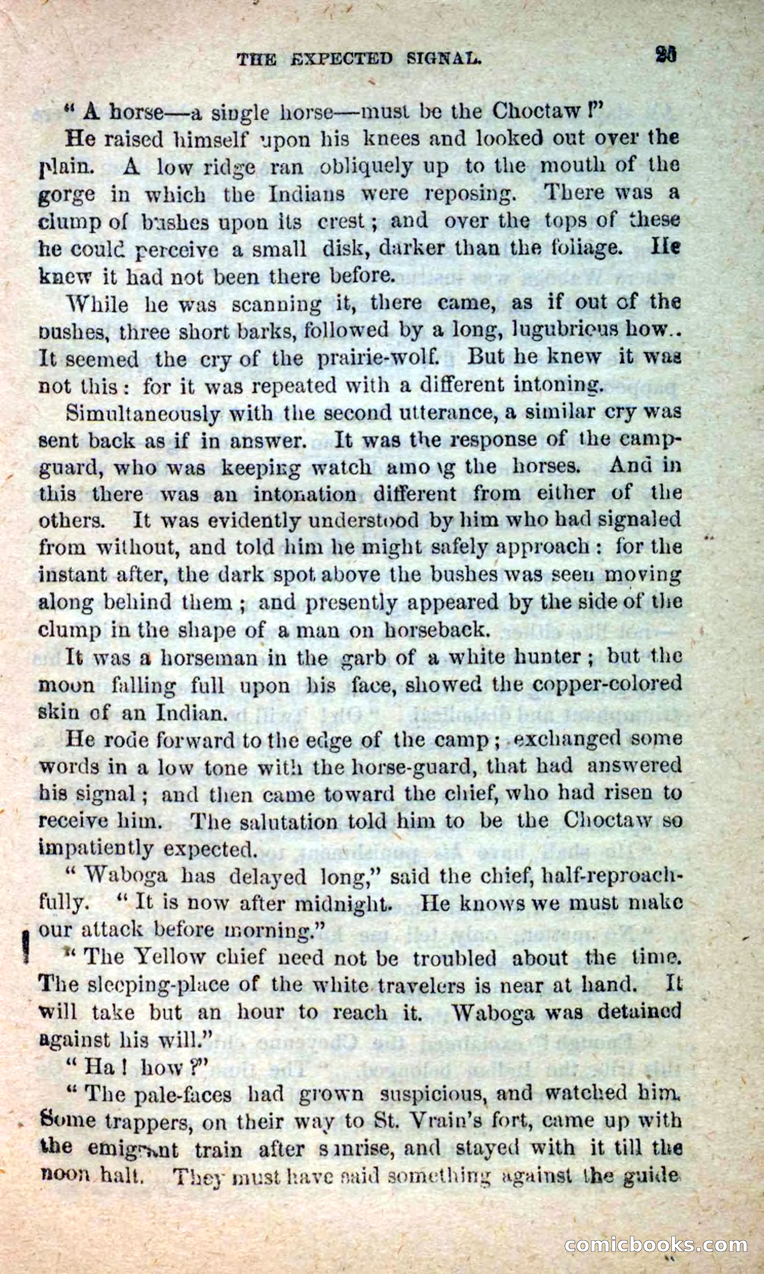 Beadle's New Dime Novels: Blue Dick — page 21 of 100